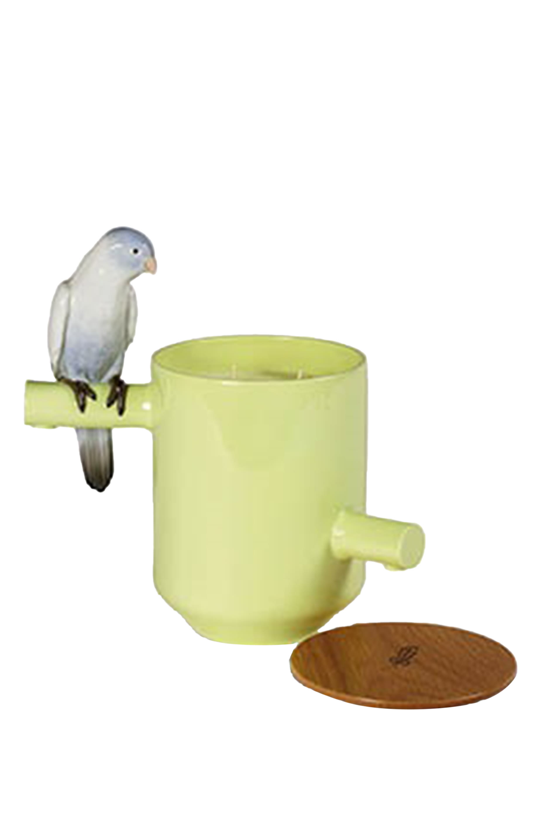 Parrot's Scented Treasure