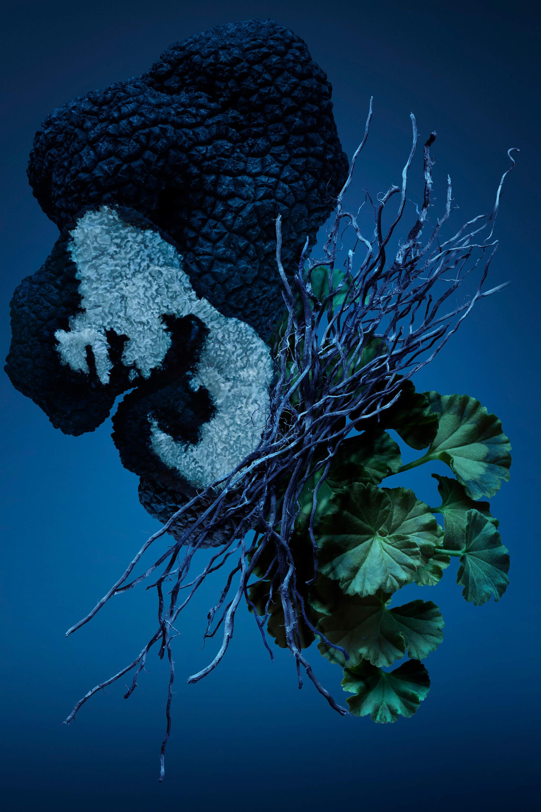 Bad Boy Cobalt Eau de Parfum