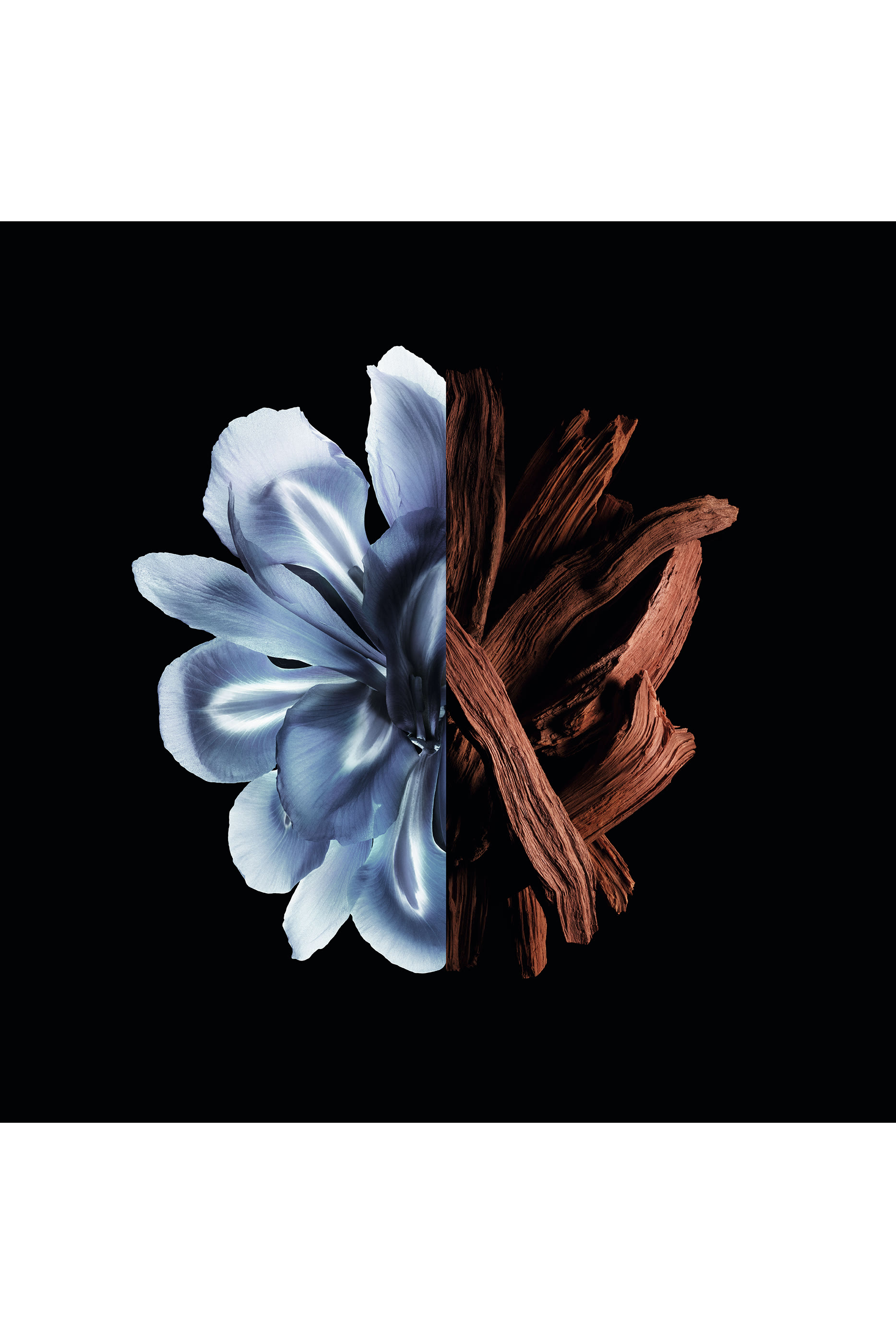 Gentleman Eau De Parfum Reserve Priv&eacute;e