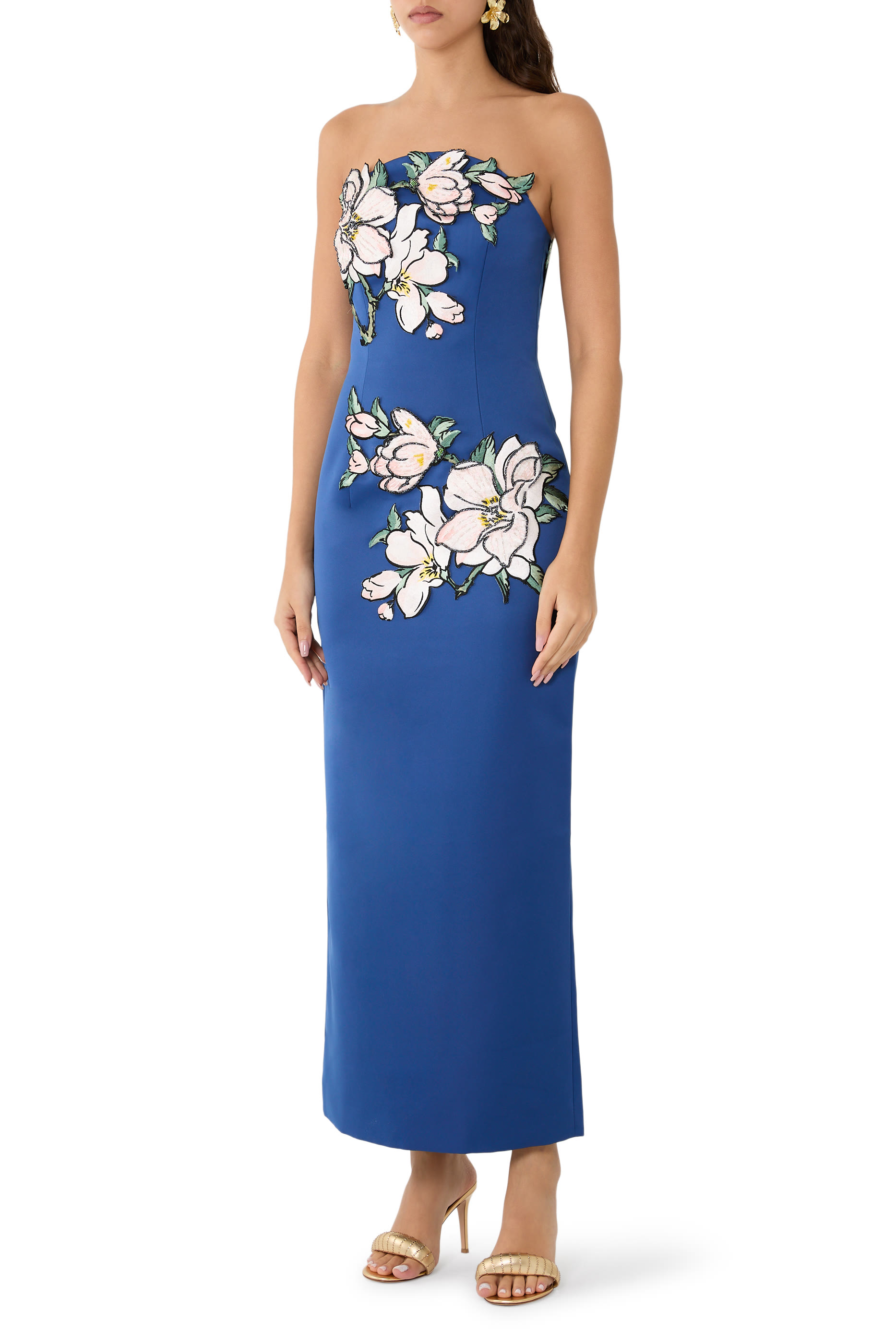 Ava Appliqué Floral Bustier Maxi Dress
