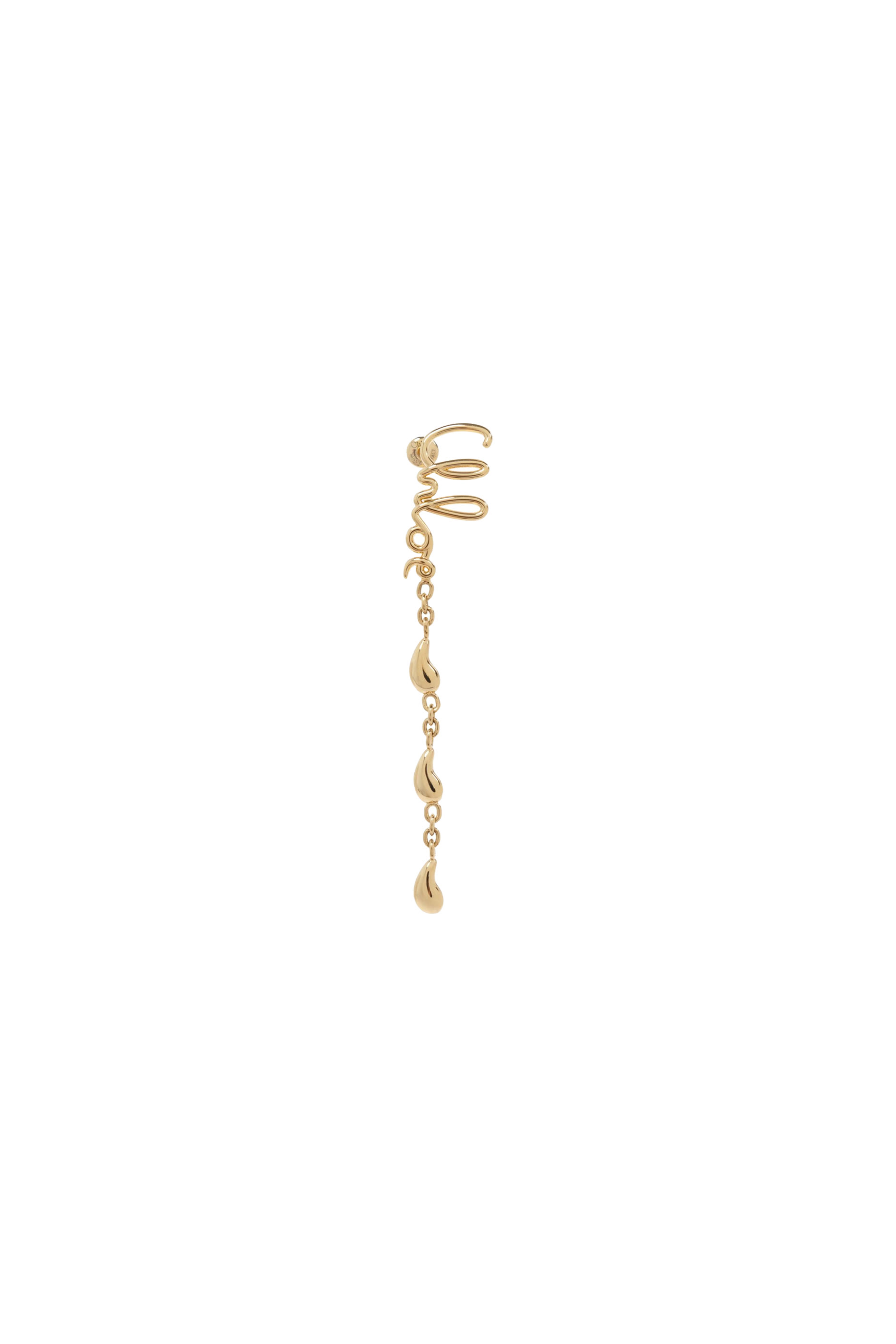 The Iconic Dangling Earrings 