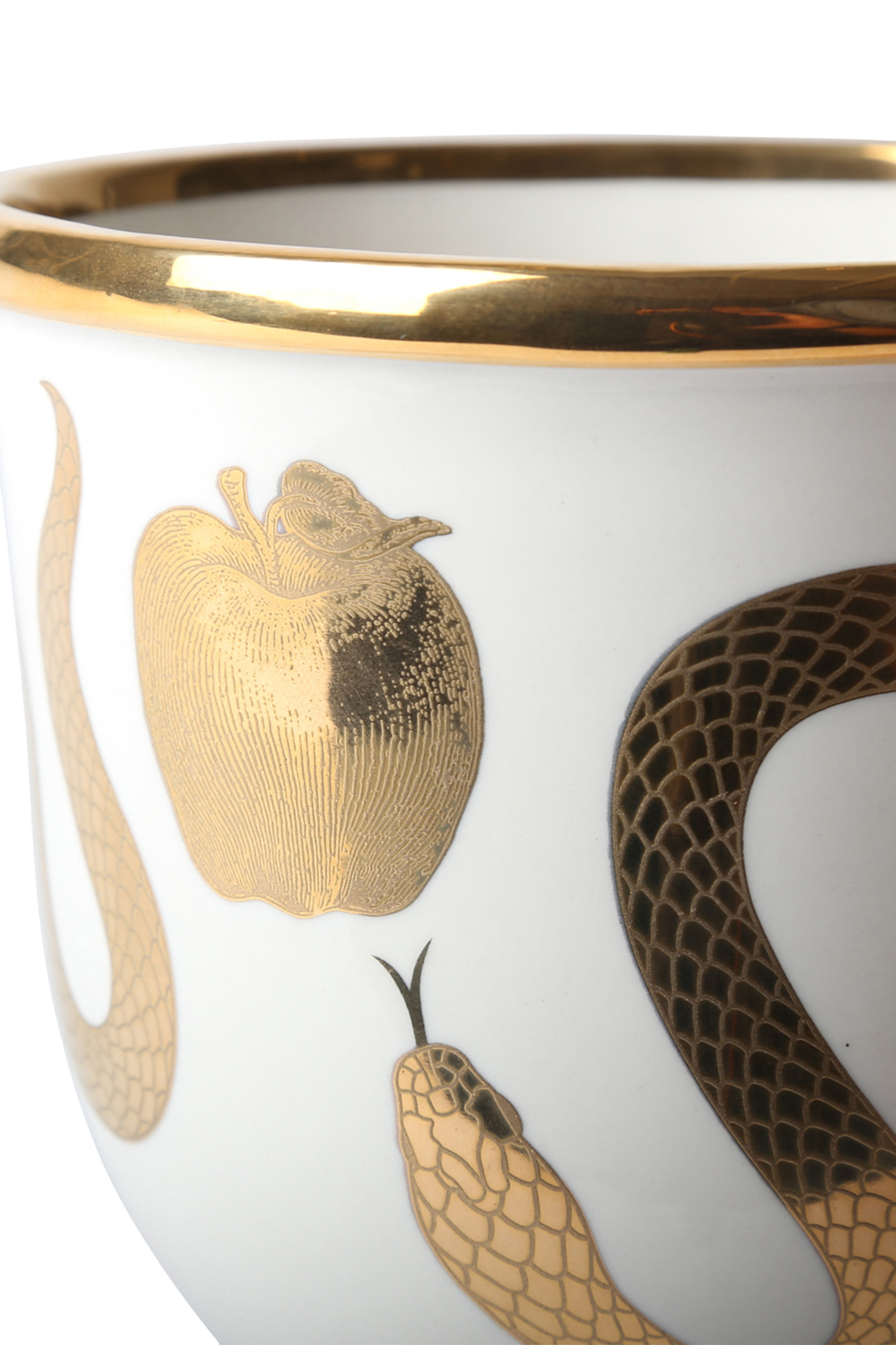 Botanist Snake & Apple Bowl