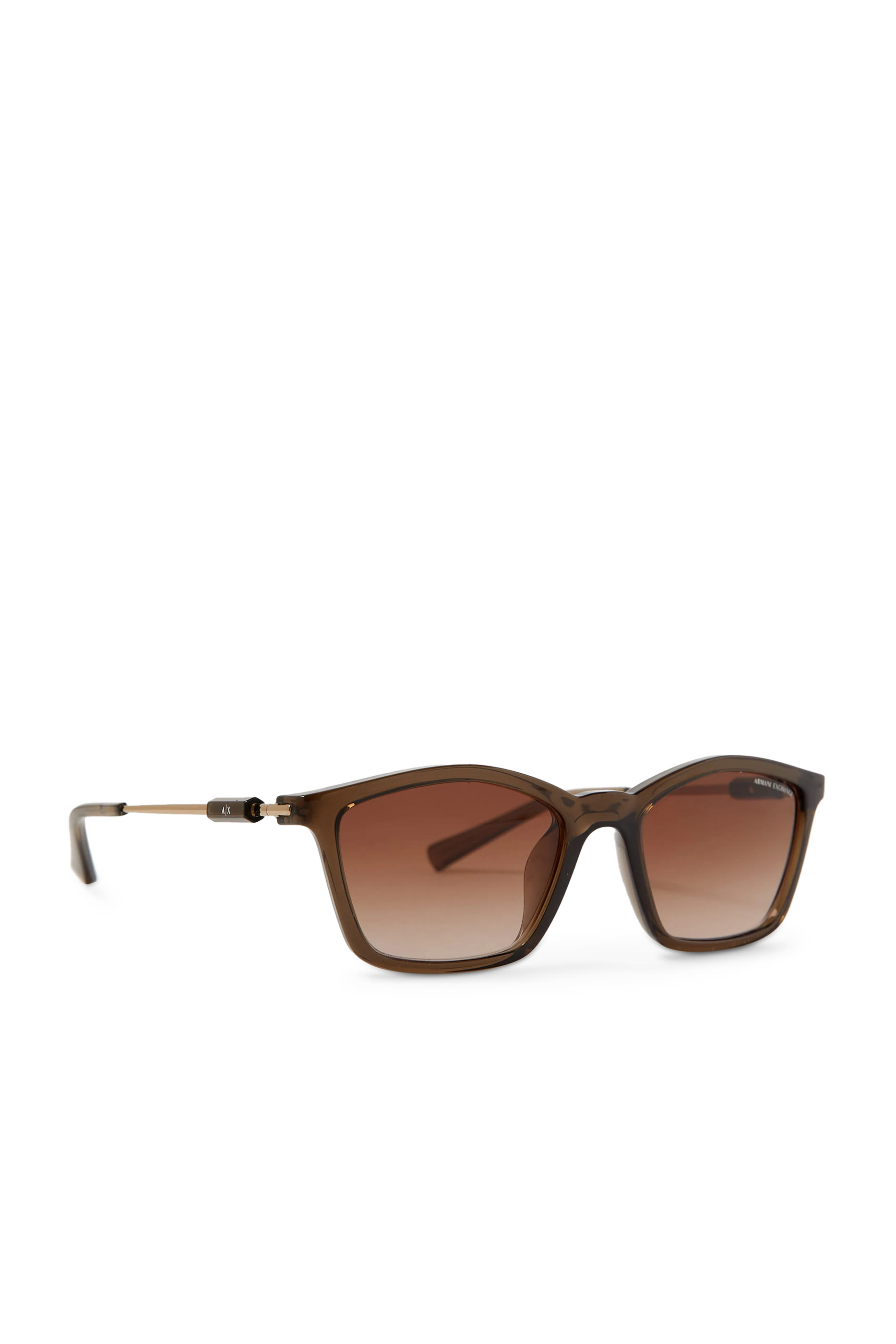 4146S D-Frame Sunglasses
