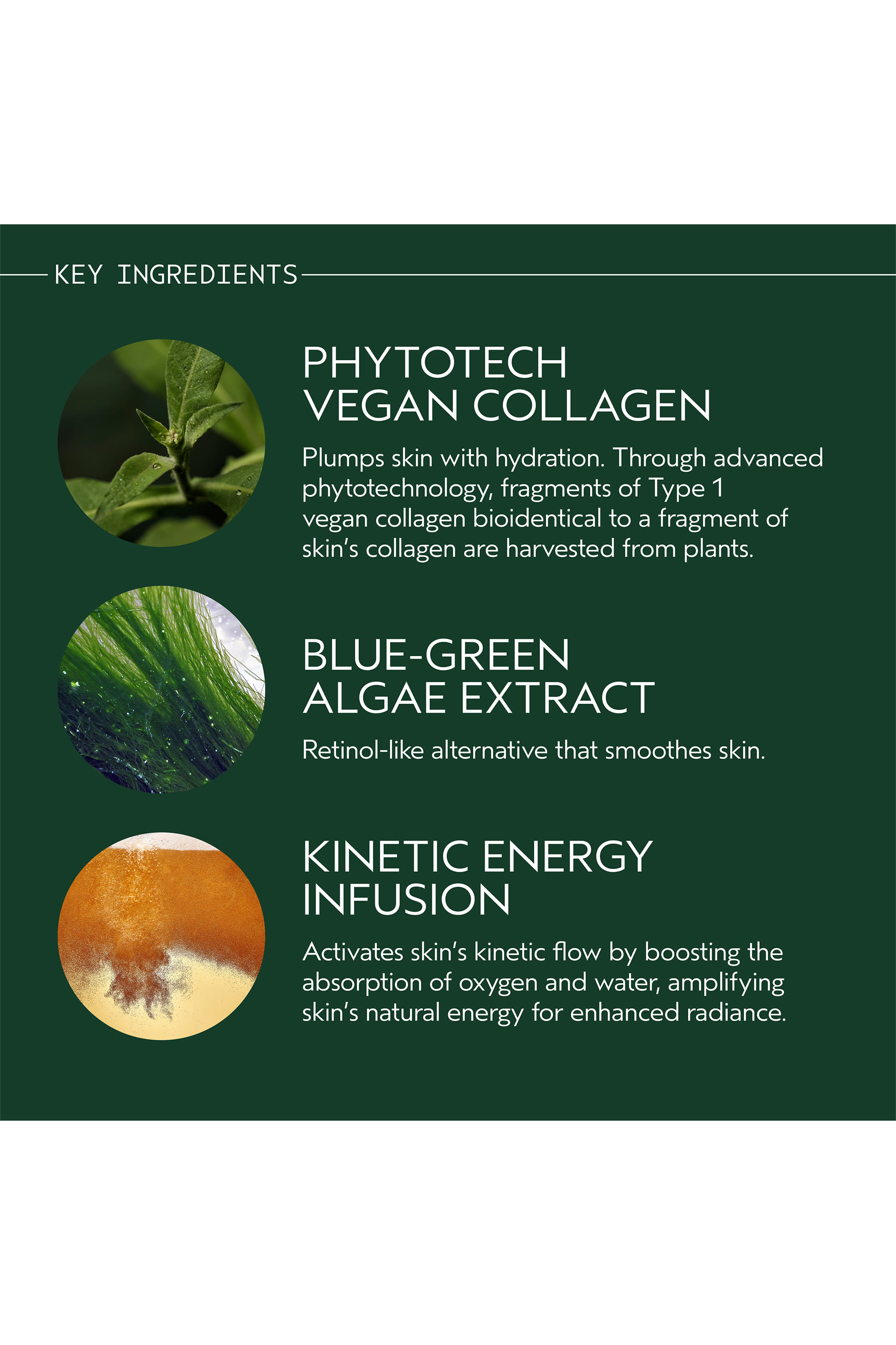 Advanced Botanical Kinetics&trade; Revitalizing Essence Lotion 