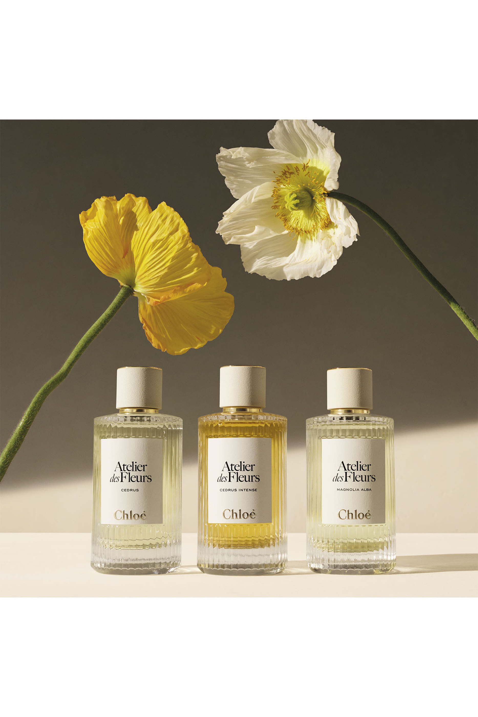 Atelier des Fleurs Vanilla Planifolia Eau de Parfum
