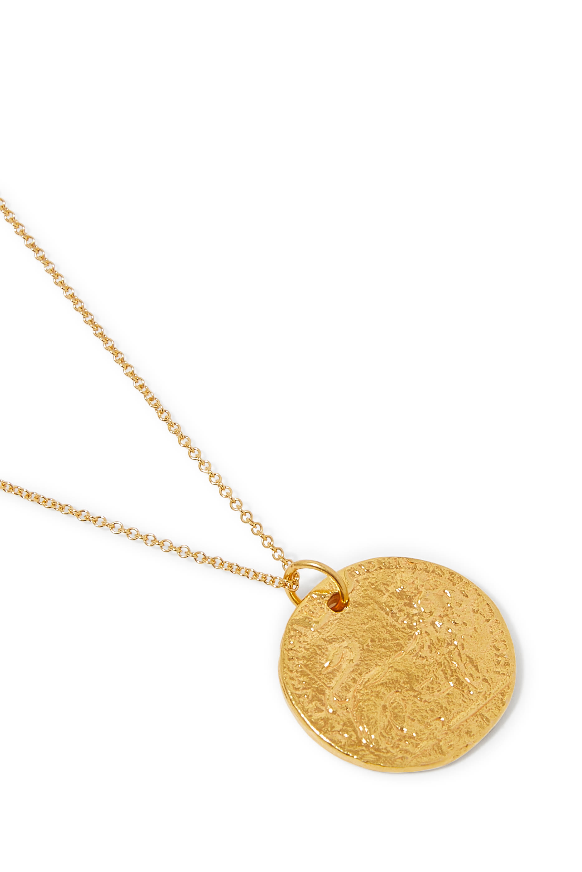 Medium Leone Medallion