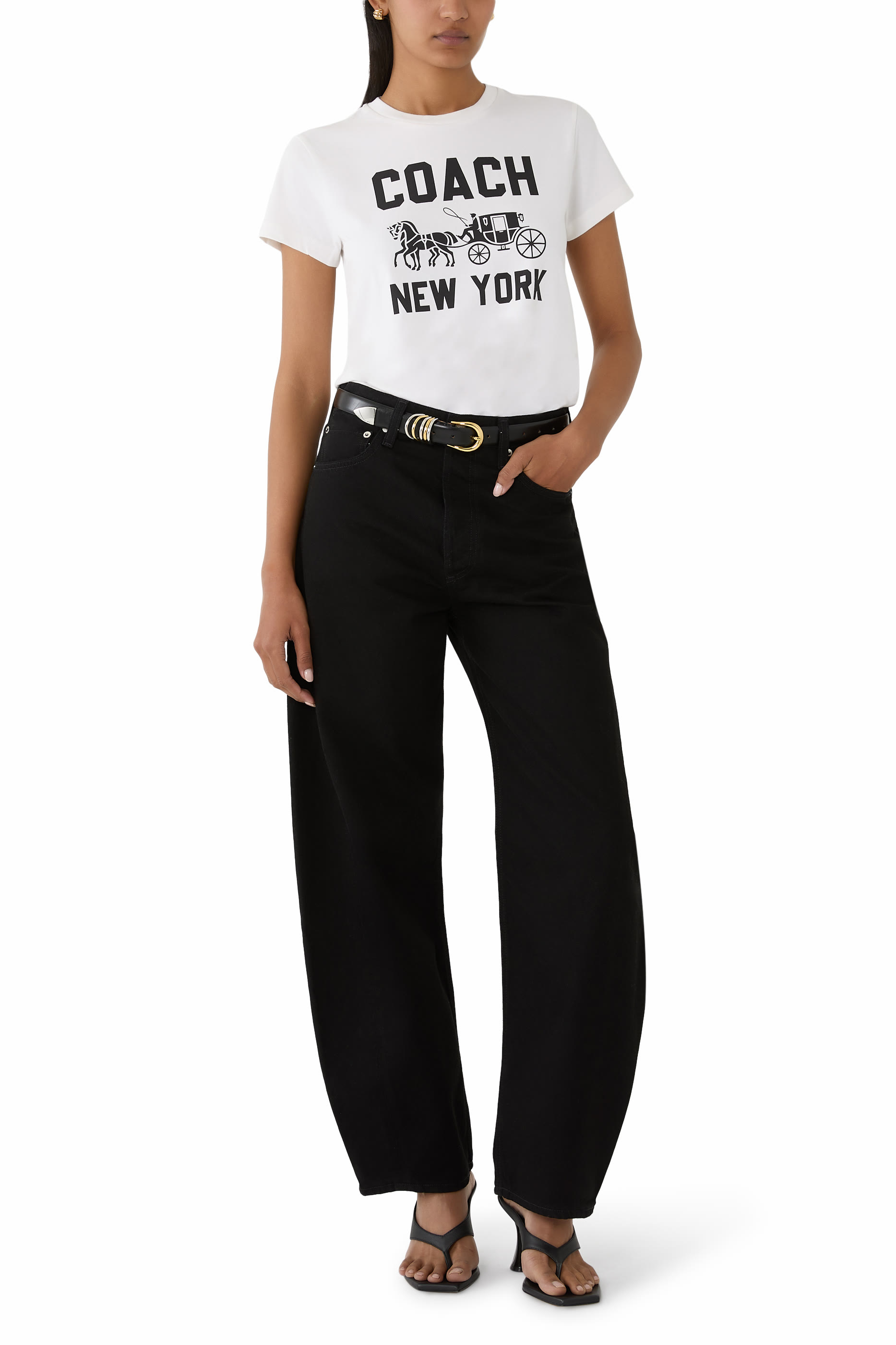 Horse and Carriage T-Shirt