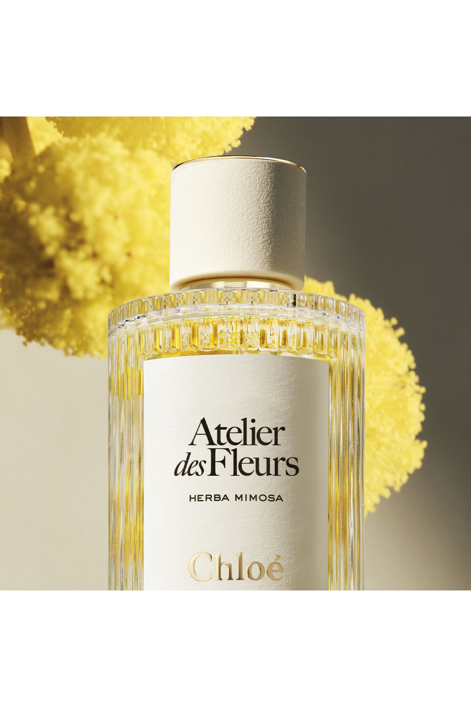 Atelier des Fleurs Herba Mimosa Eau de Parfum
