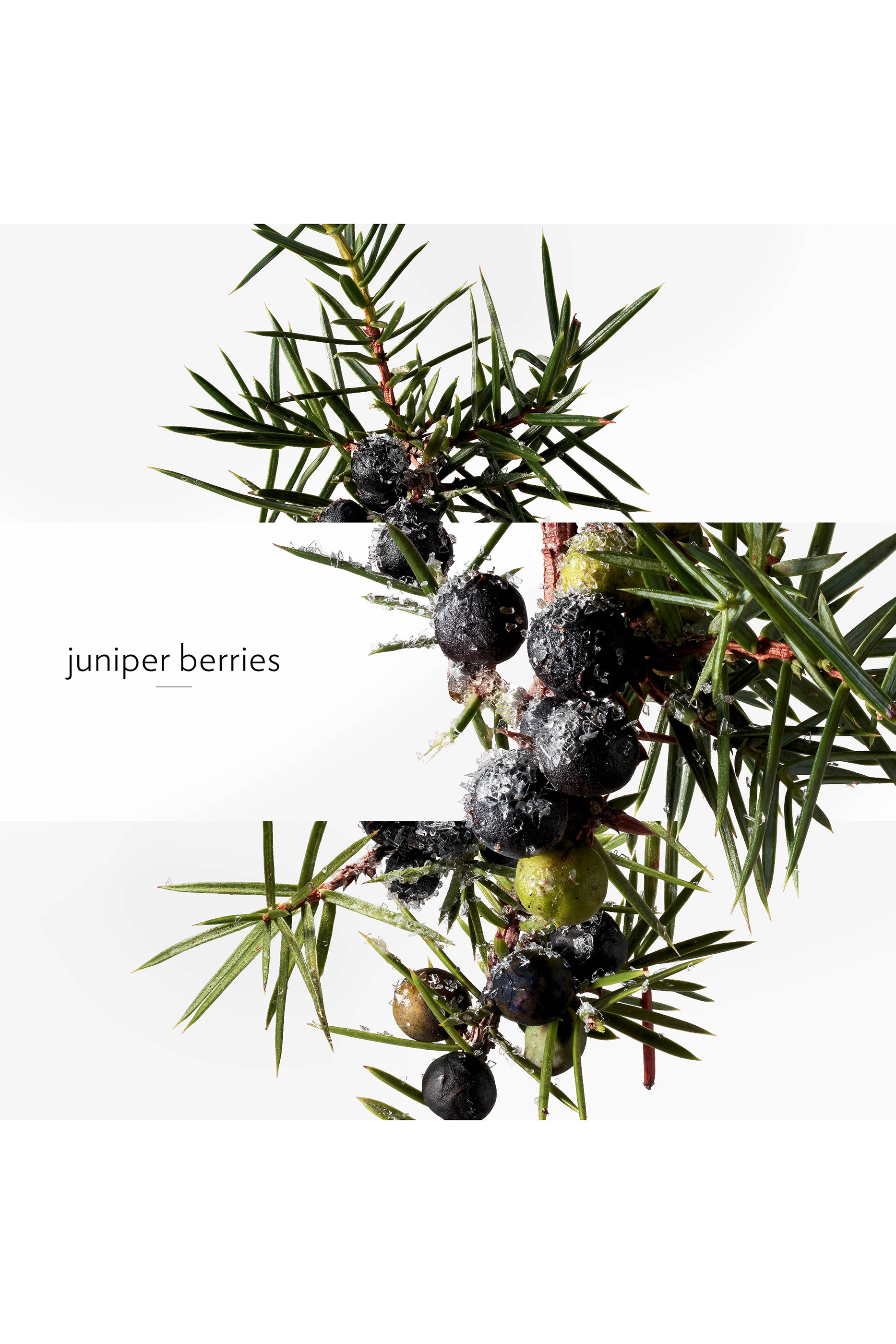 Terre d'Hermes Eau Givree Eau de Parfum