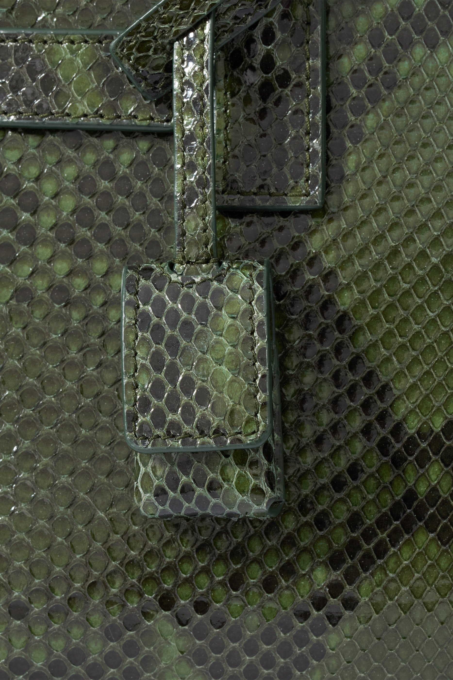 Nano Sac de Jour Bag In Python Leather