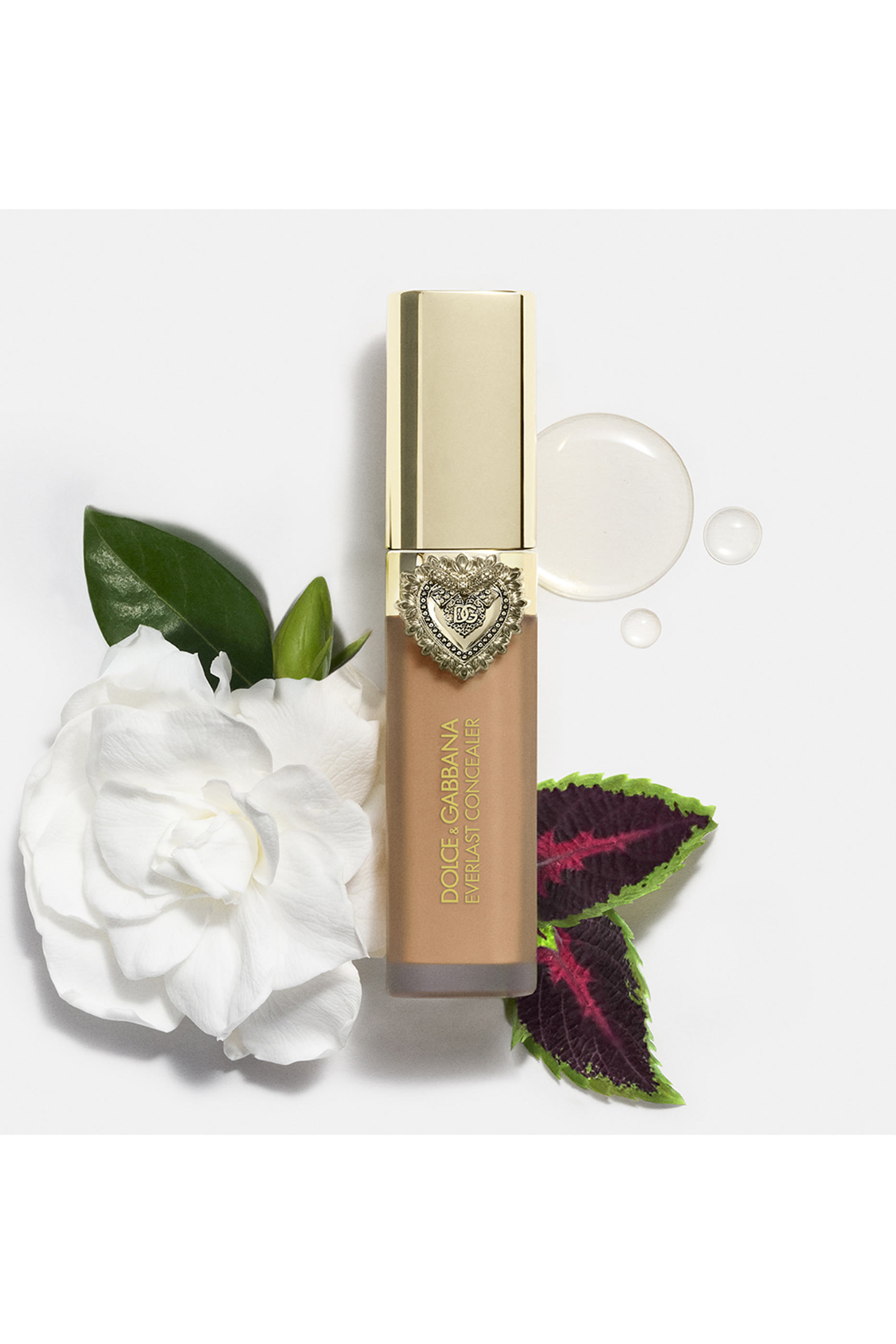 Everlast Concealer