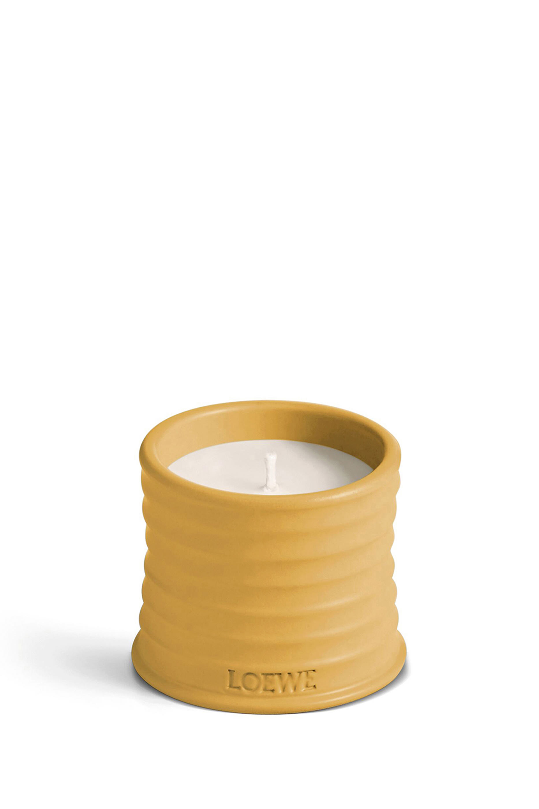 Large Wasabi Scented Candle