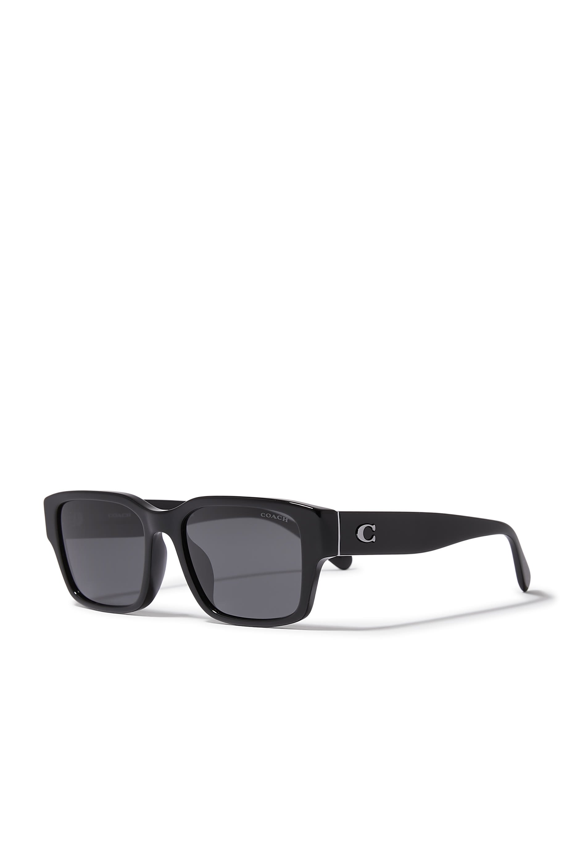 D-Frame Maxi C Temple Sunglasses