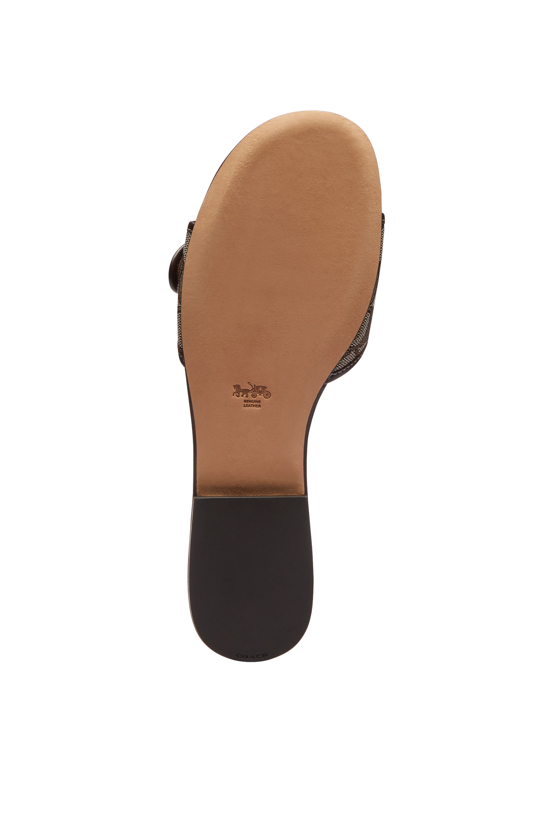 Margot Flat Sandals