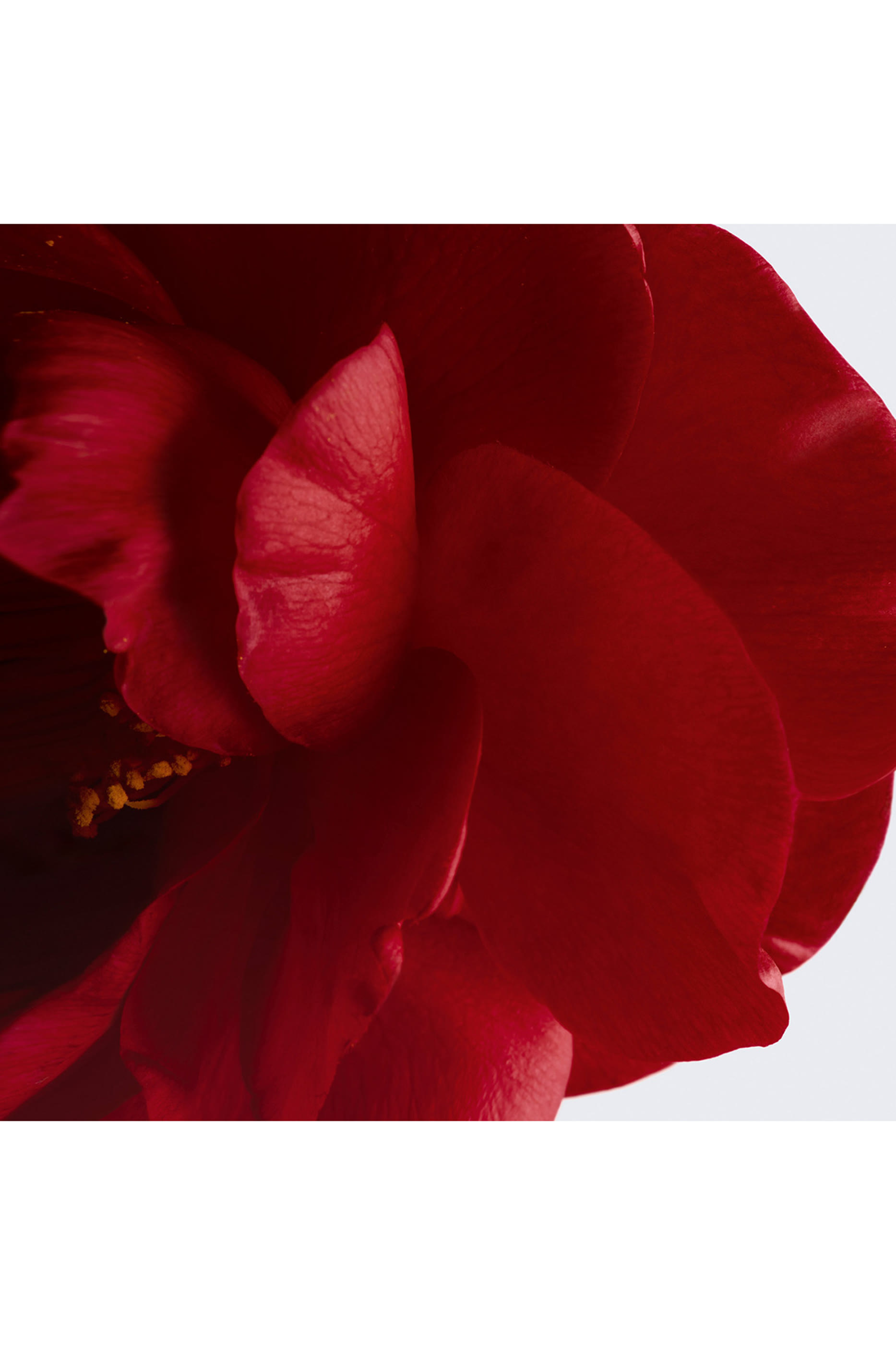 N&deg;1 DE CHANEL LIP AND CHEEK BALM Enhances Colour - Nourishes - Plumps