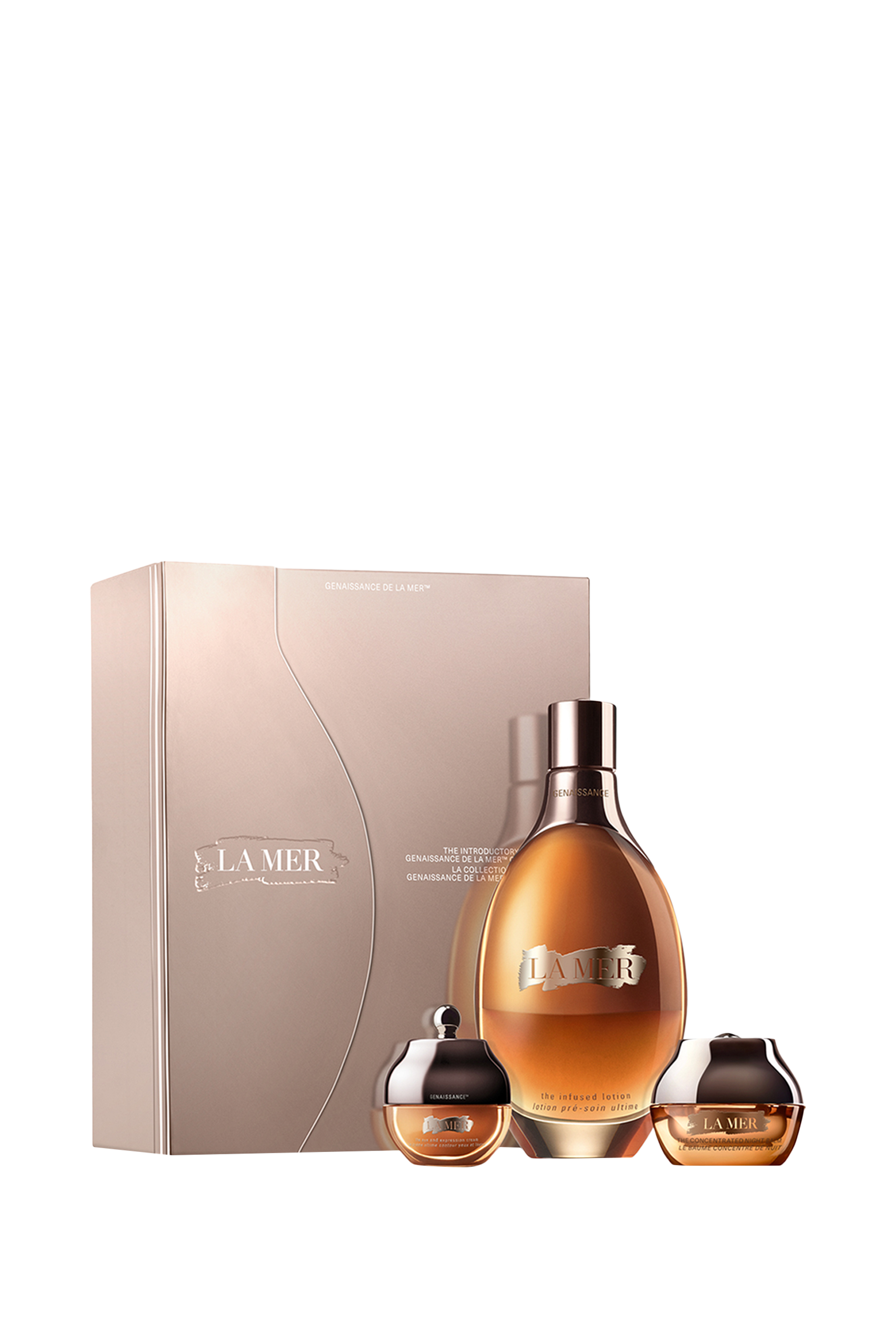 The Introductory Genaissance