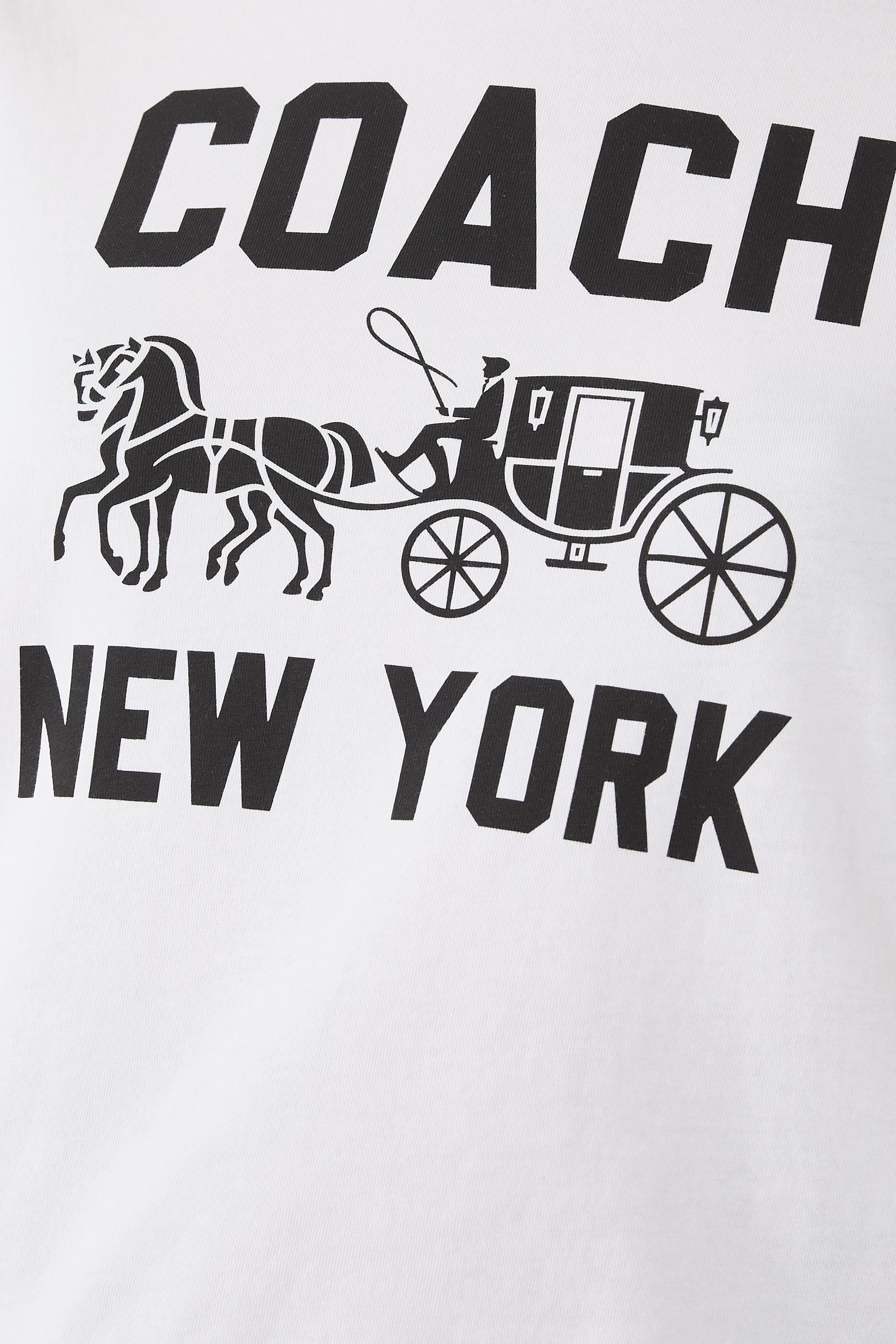 Horse and Carriage T-Shirt