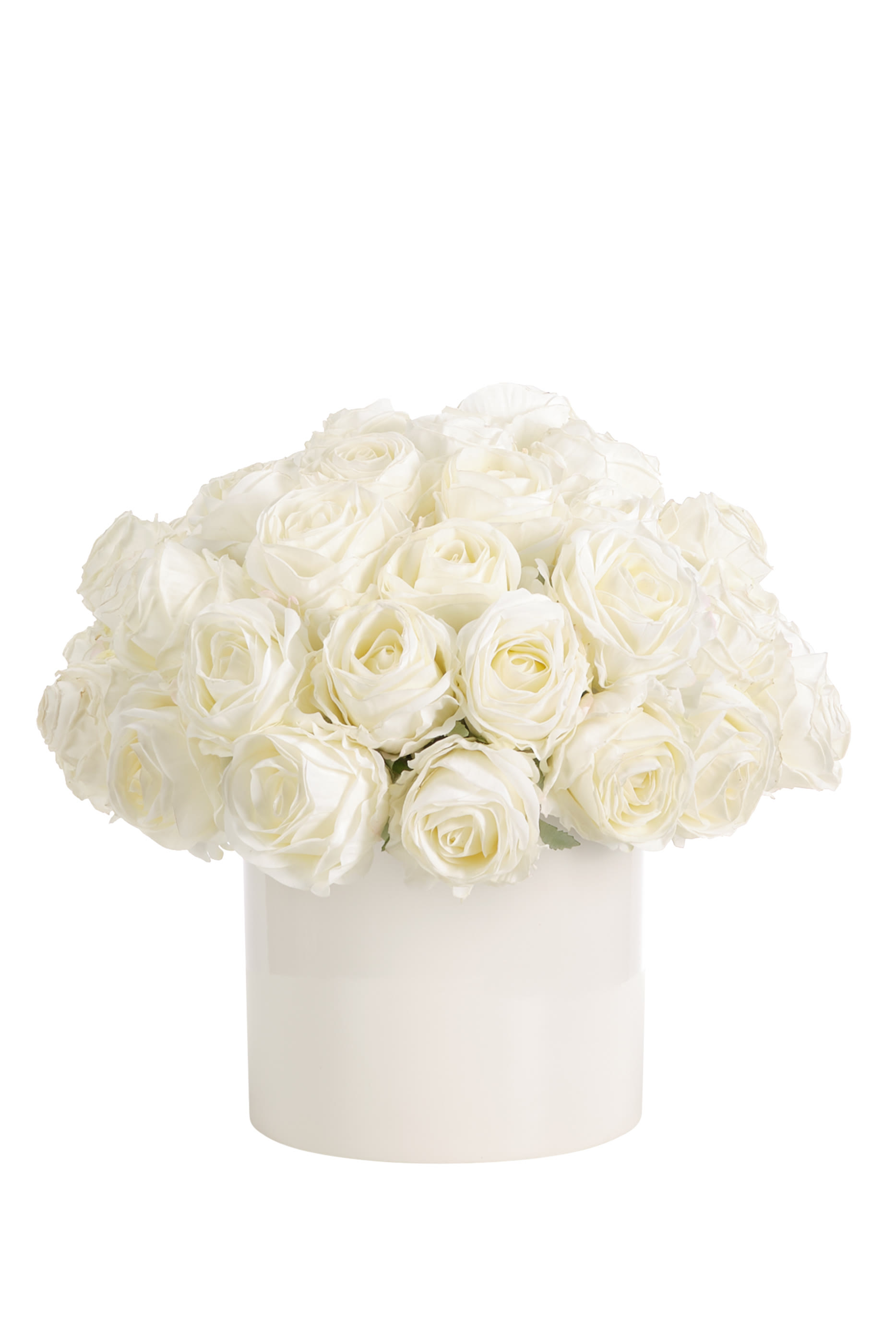 Roses in Ceramic Pot