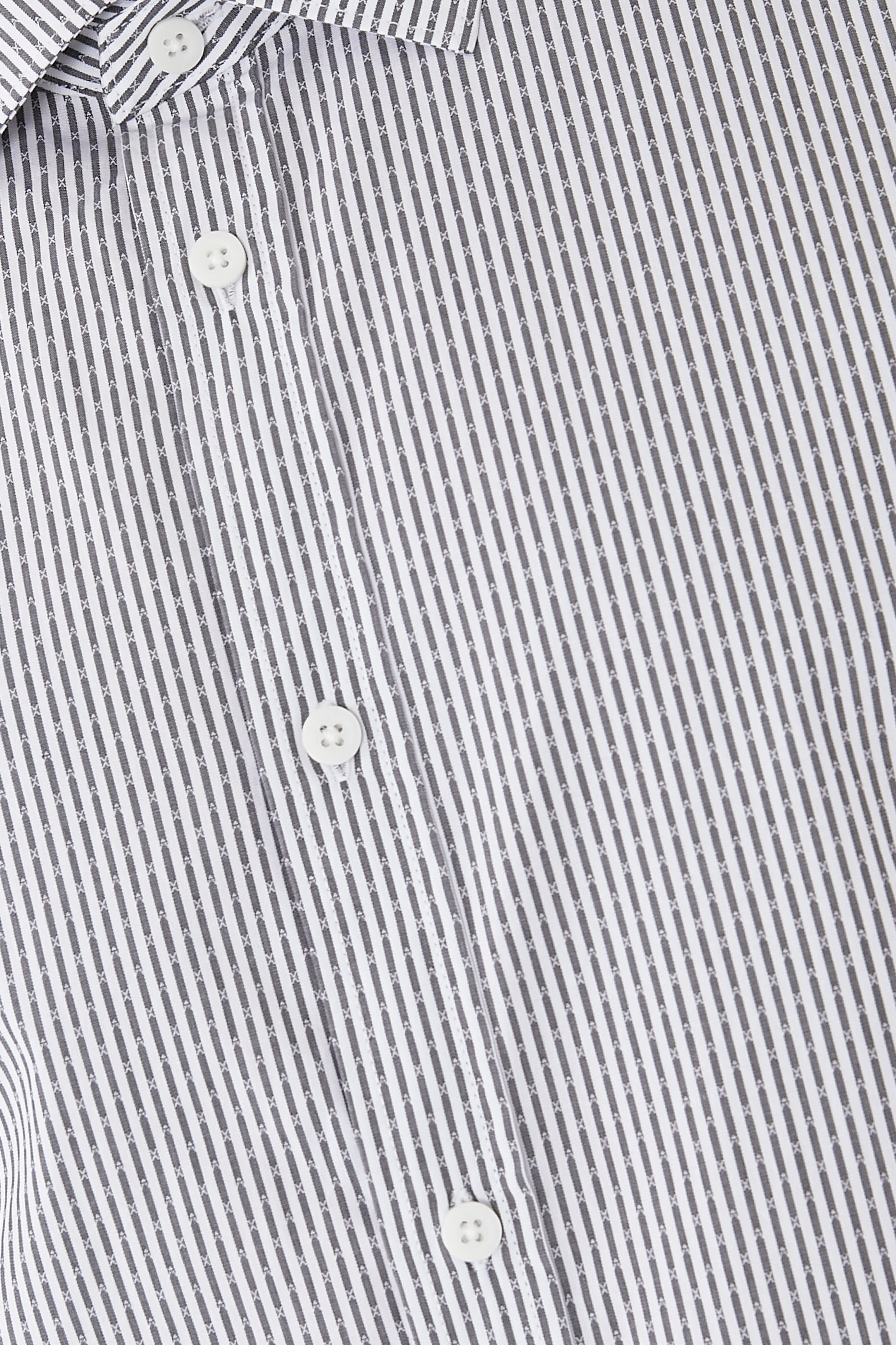 The Gymnasium Regular Fit Shirt