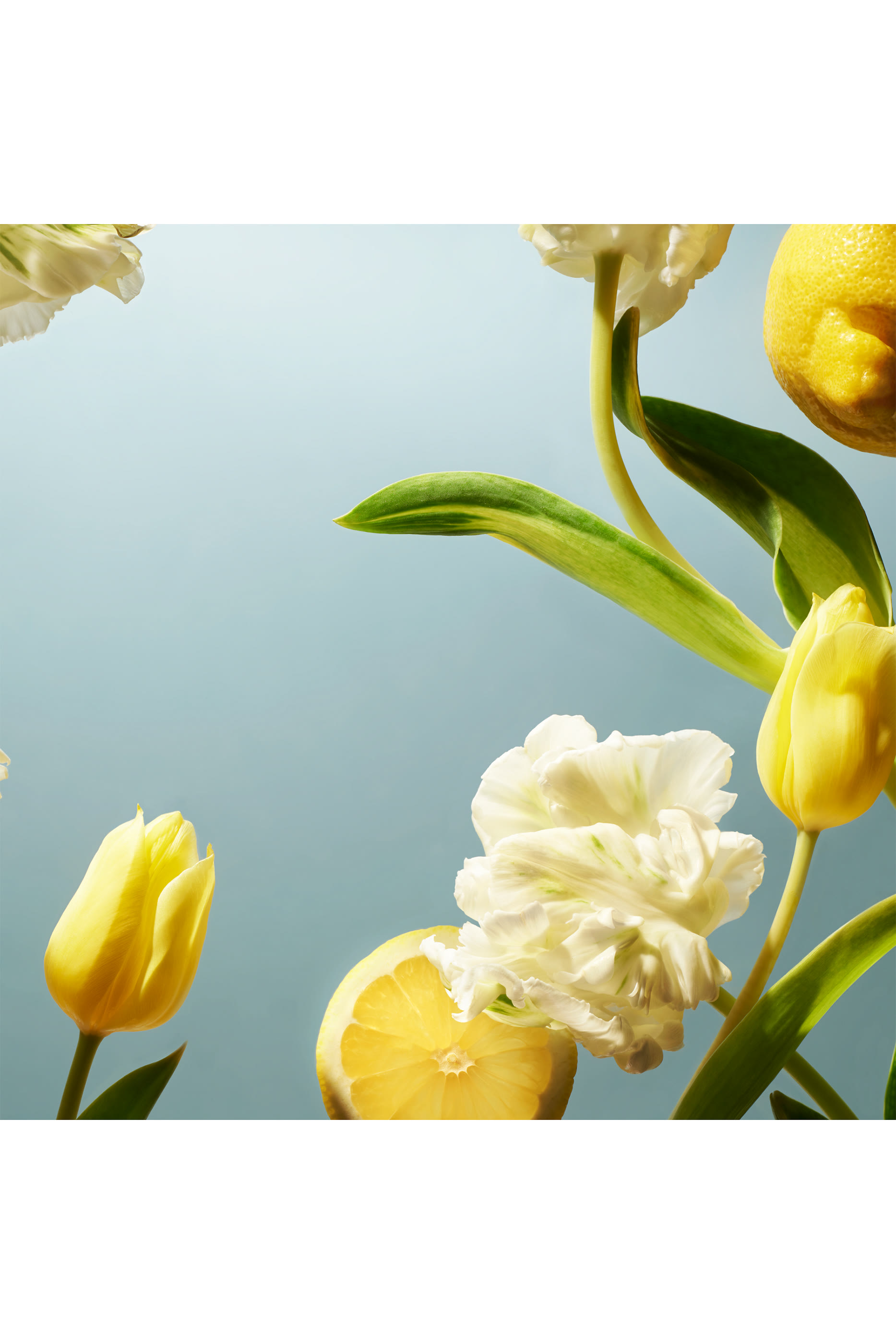 Amsterdam Collection Gift Set