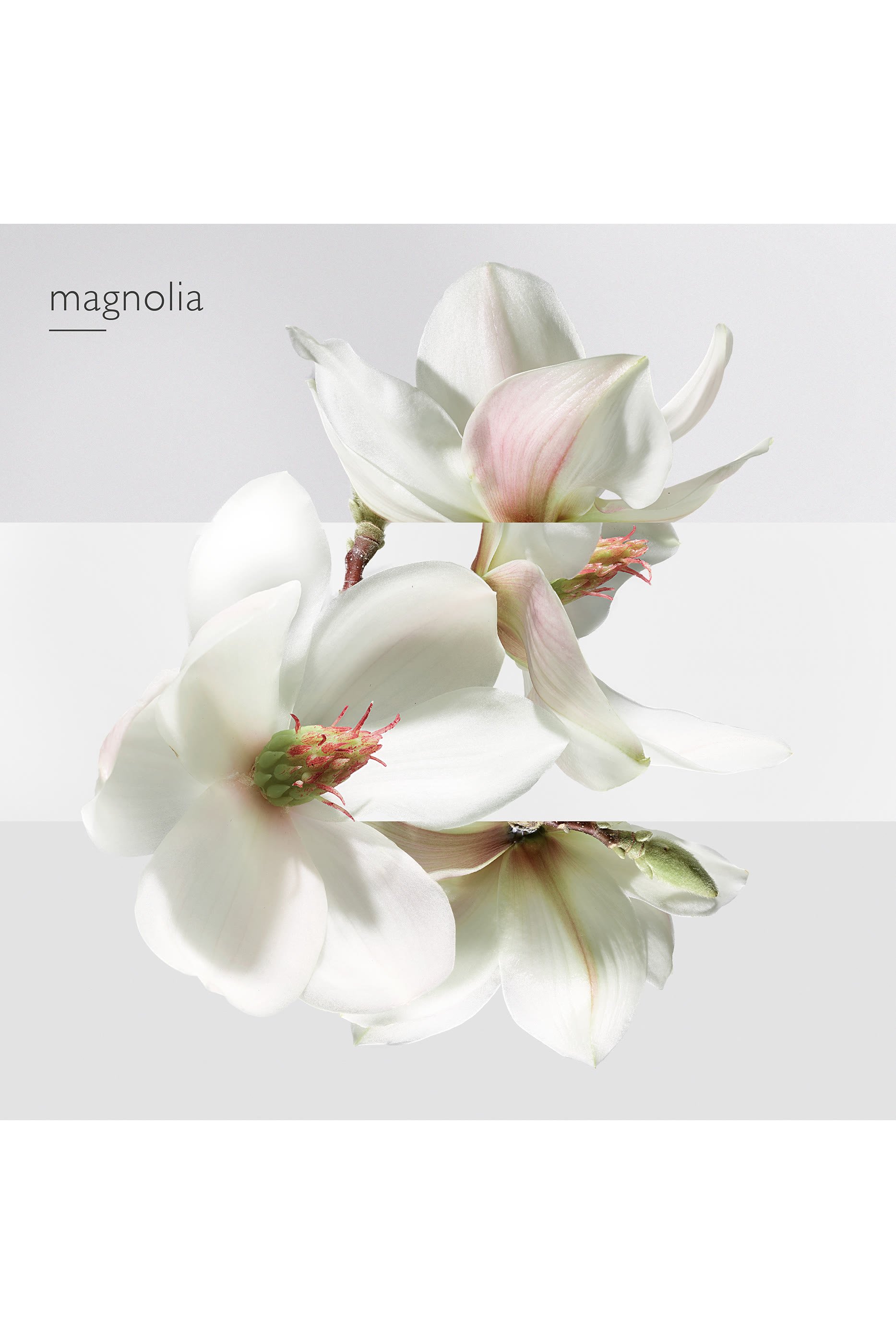 Un Jardin sur la Lagune, Eau de toilette