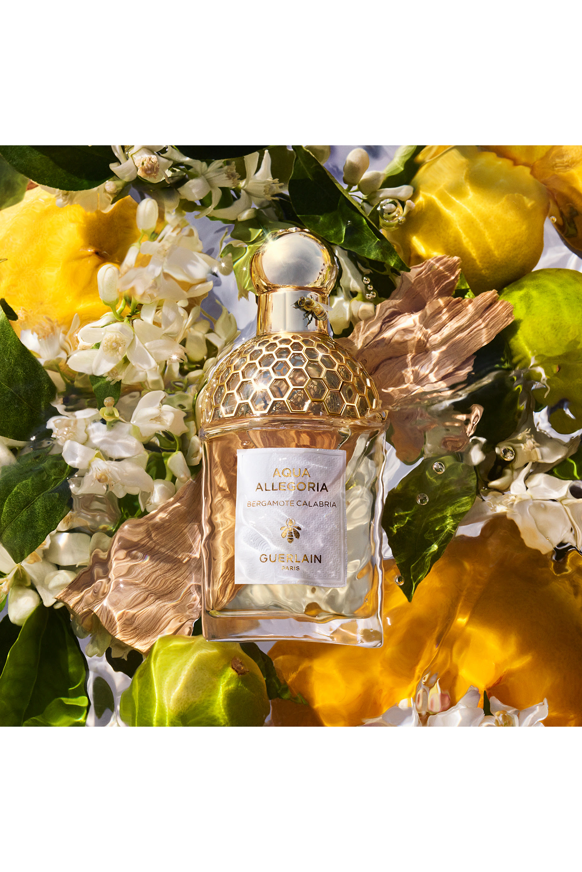 Bergamote Calabria Eau de toilette