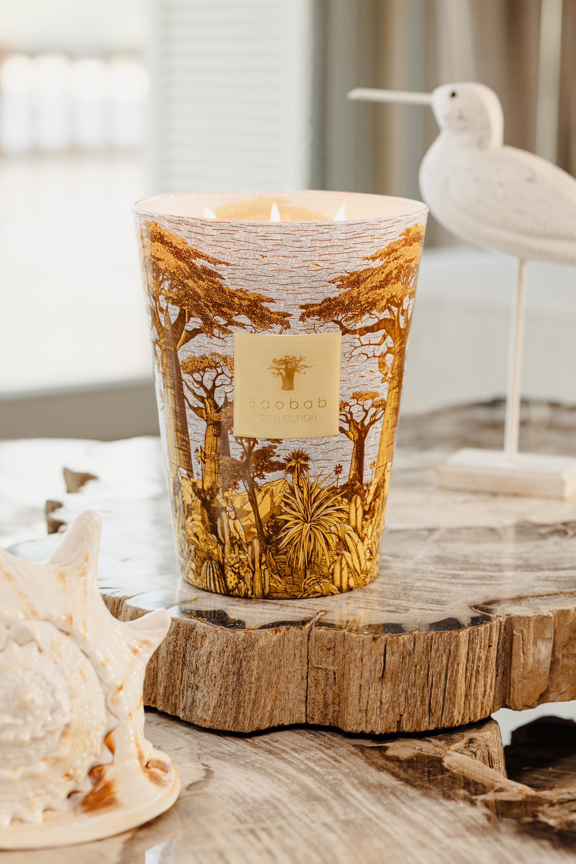 Max 10 Sacred Trees Cocody Candle 