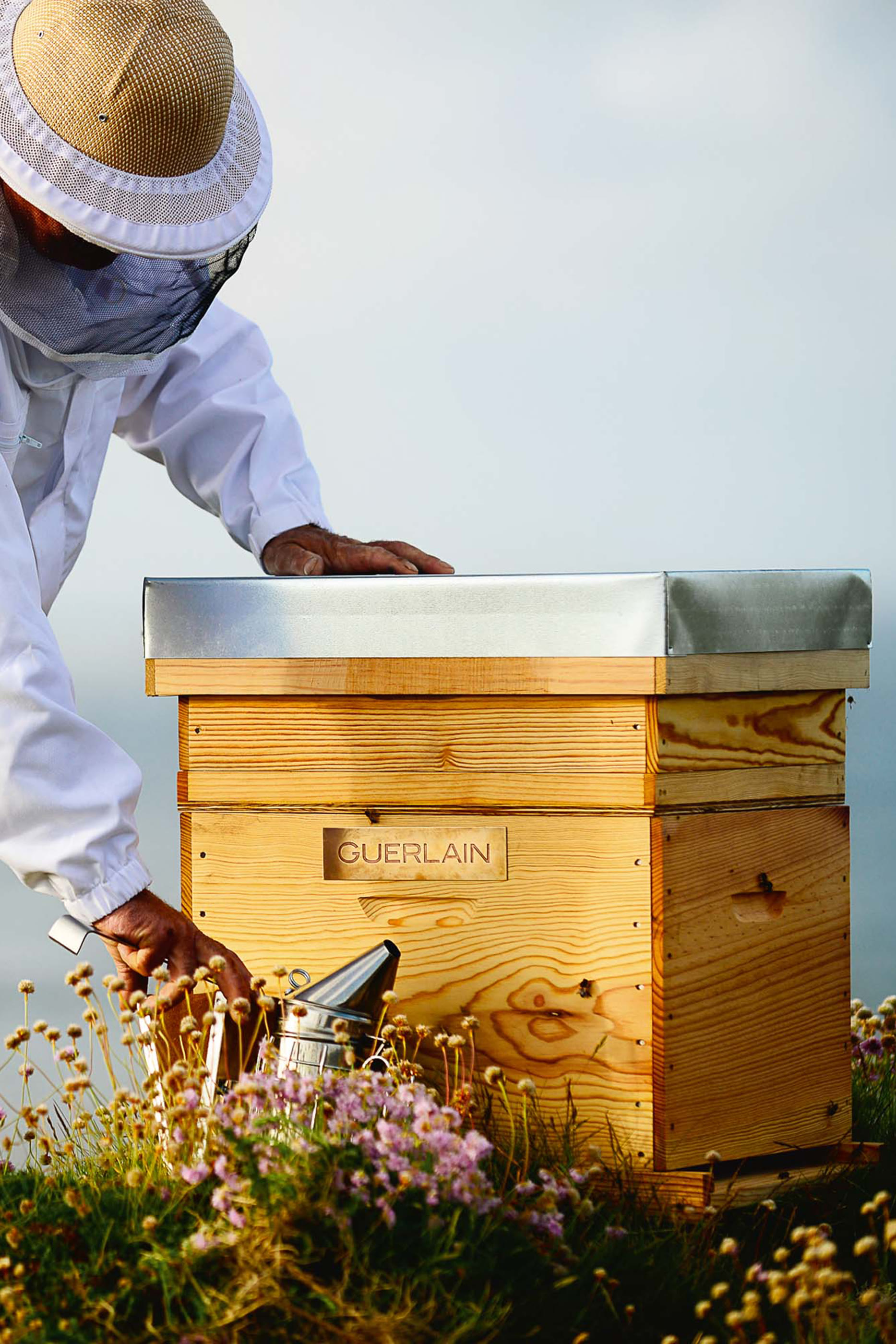 Abeille Royale Advanced Youth Watery Oil