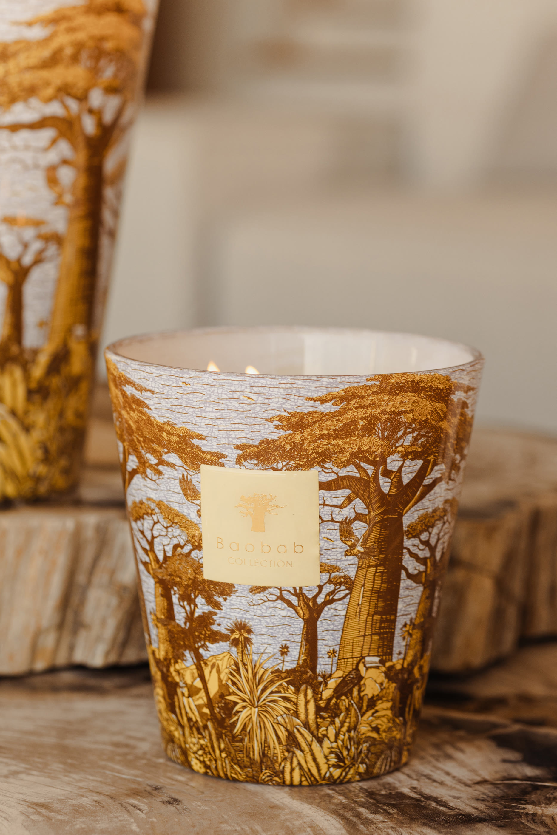 Max 35 Sacred Trees Cocody Candle