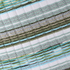 Blue Multicolor
