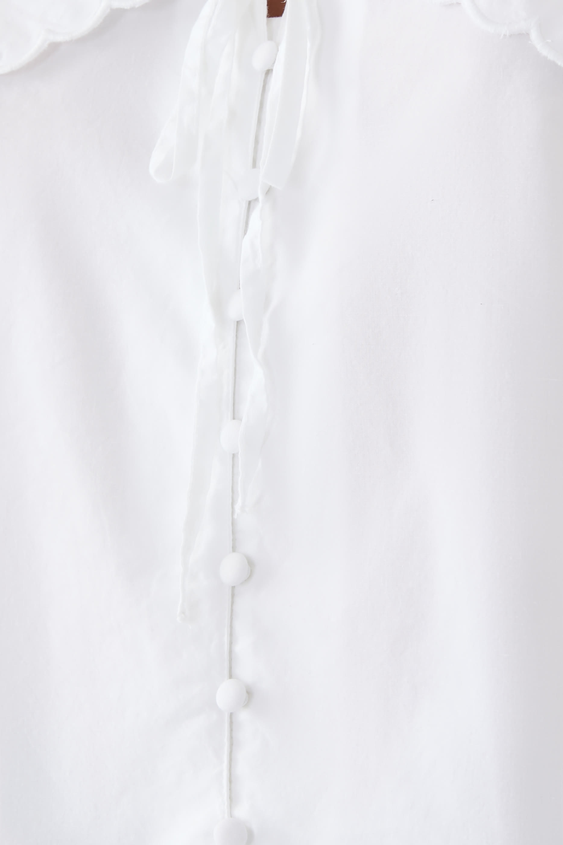 Long Sleeve Birdie Blouse