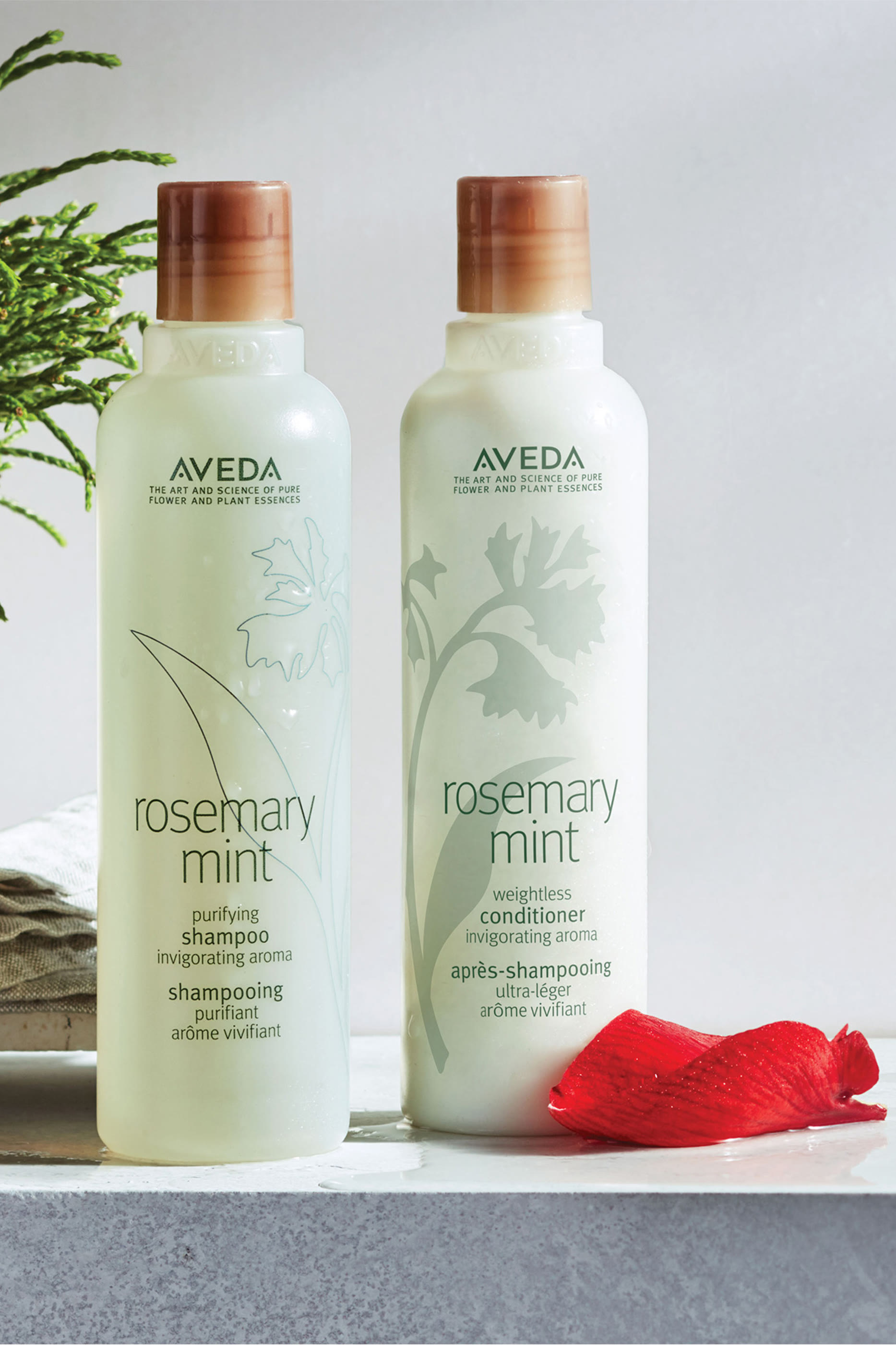 Rosemary Mint Purifying Shampoo