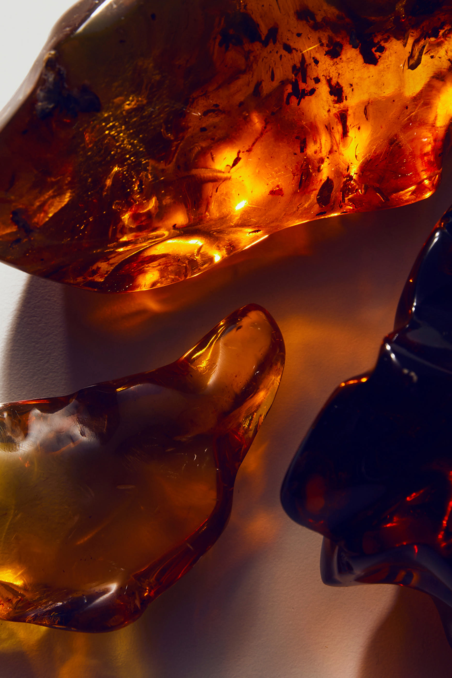 DGVIB3 Eau de Parfum