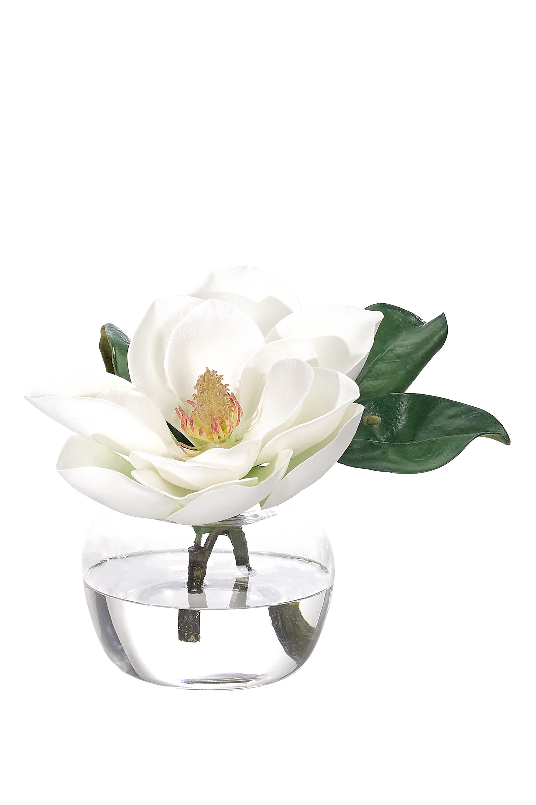 Magnolia In Glass Jar