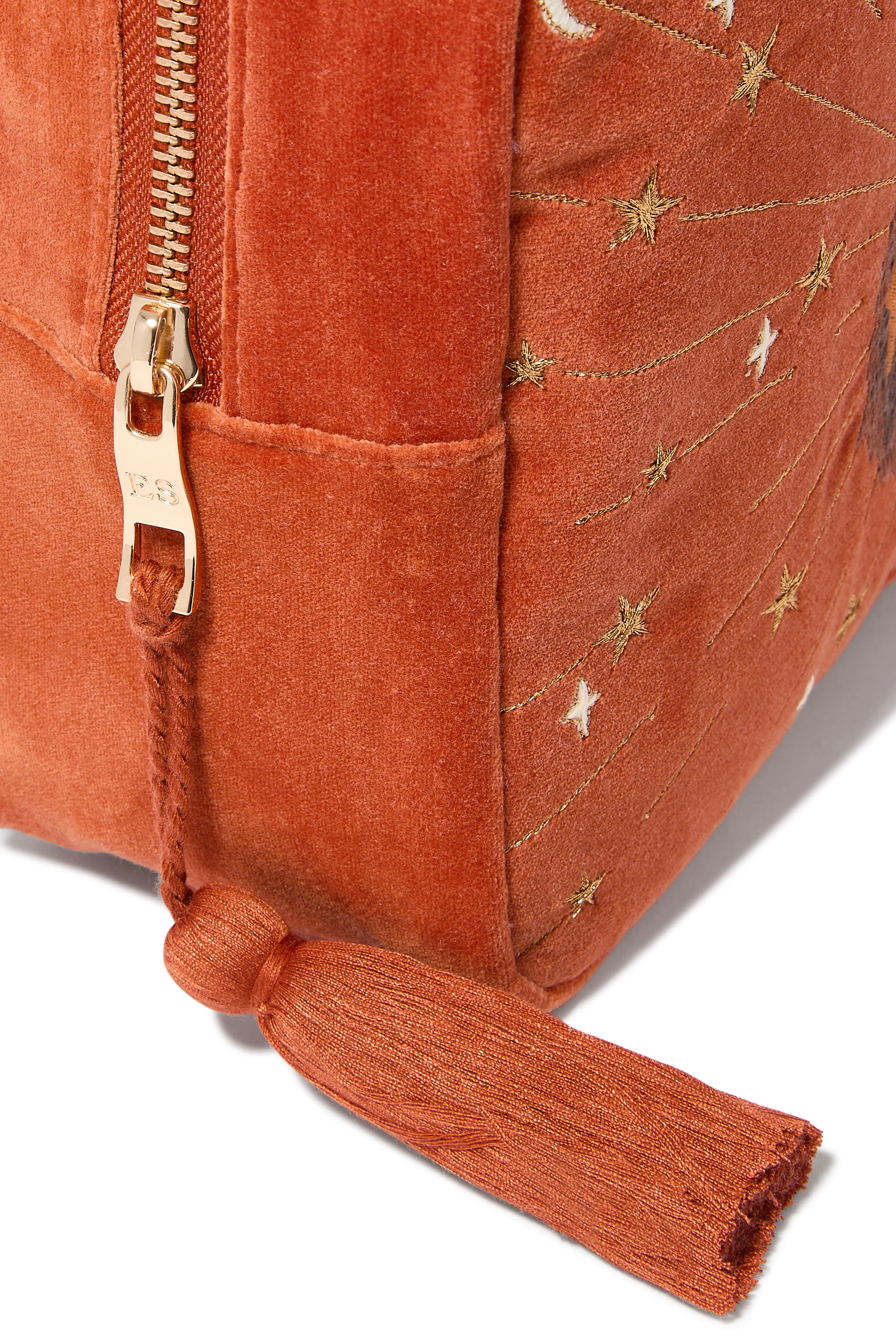 Mystical Lion Wash Bag