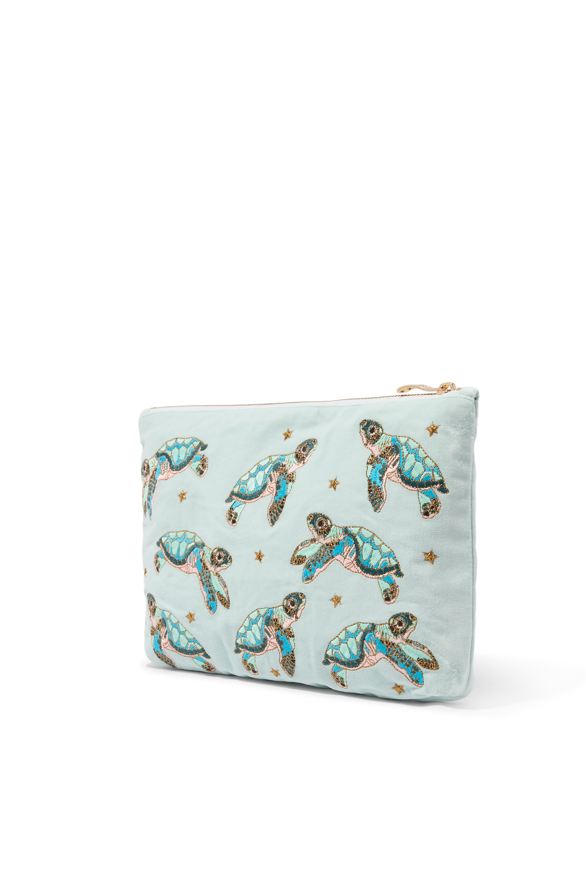 Baby Turtle Conservation Everyday Pouch