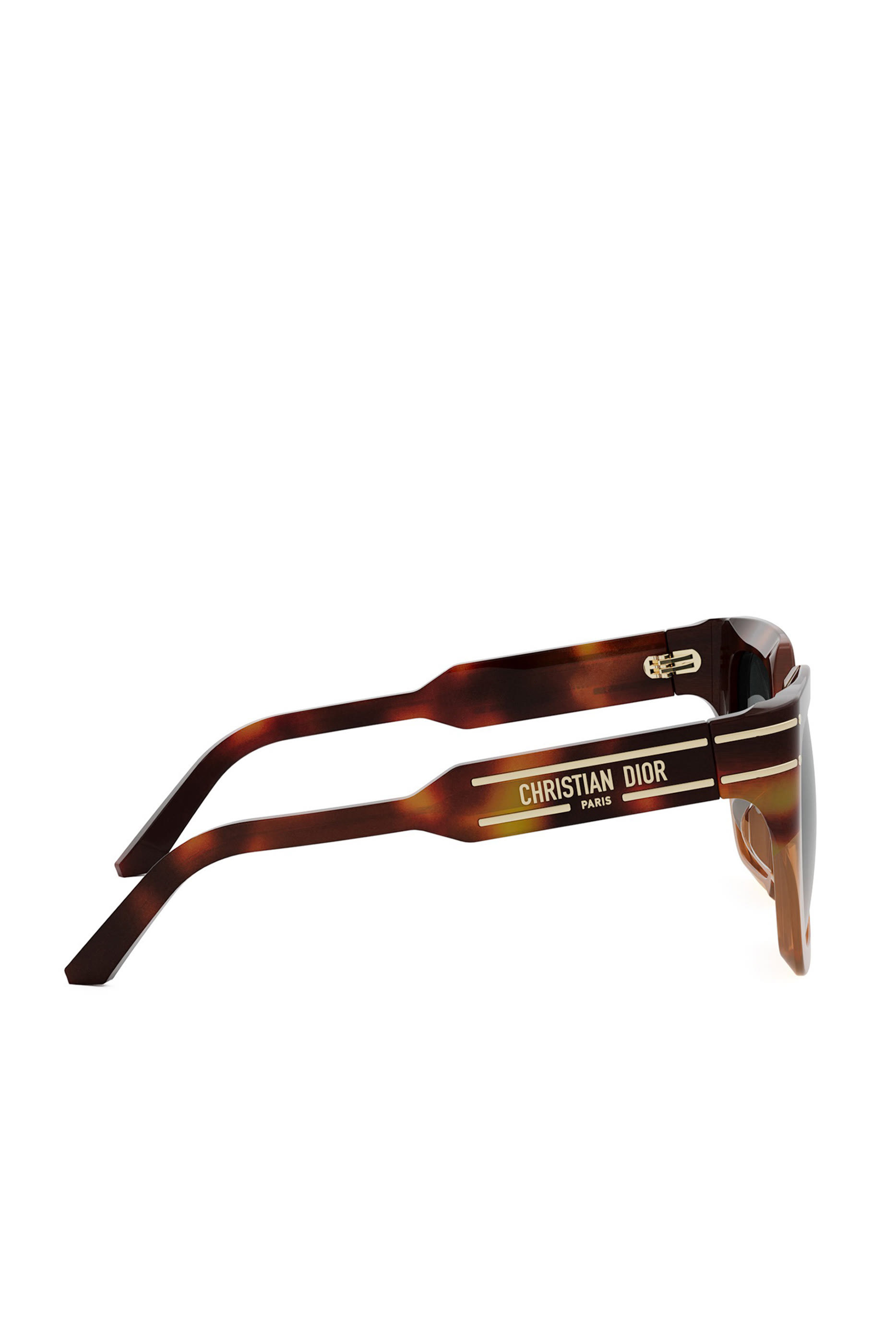DiorSignature S10F Havana Butterfly Sunglasses