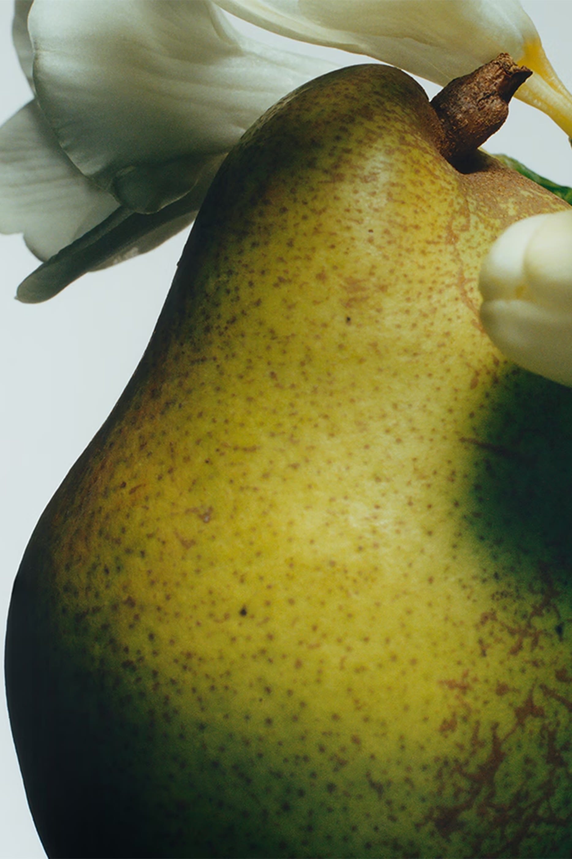 English Pear and Freesia Body Crème Intense