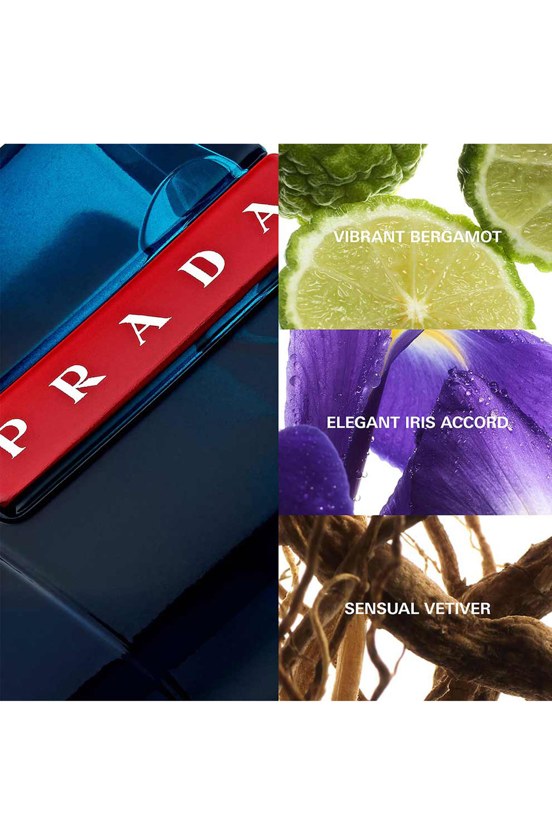 Luna Rossa Ocean Eau de Toilette