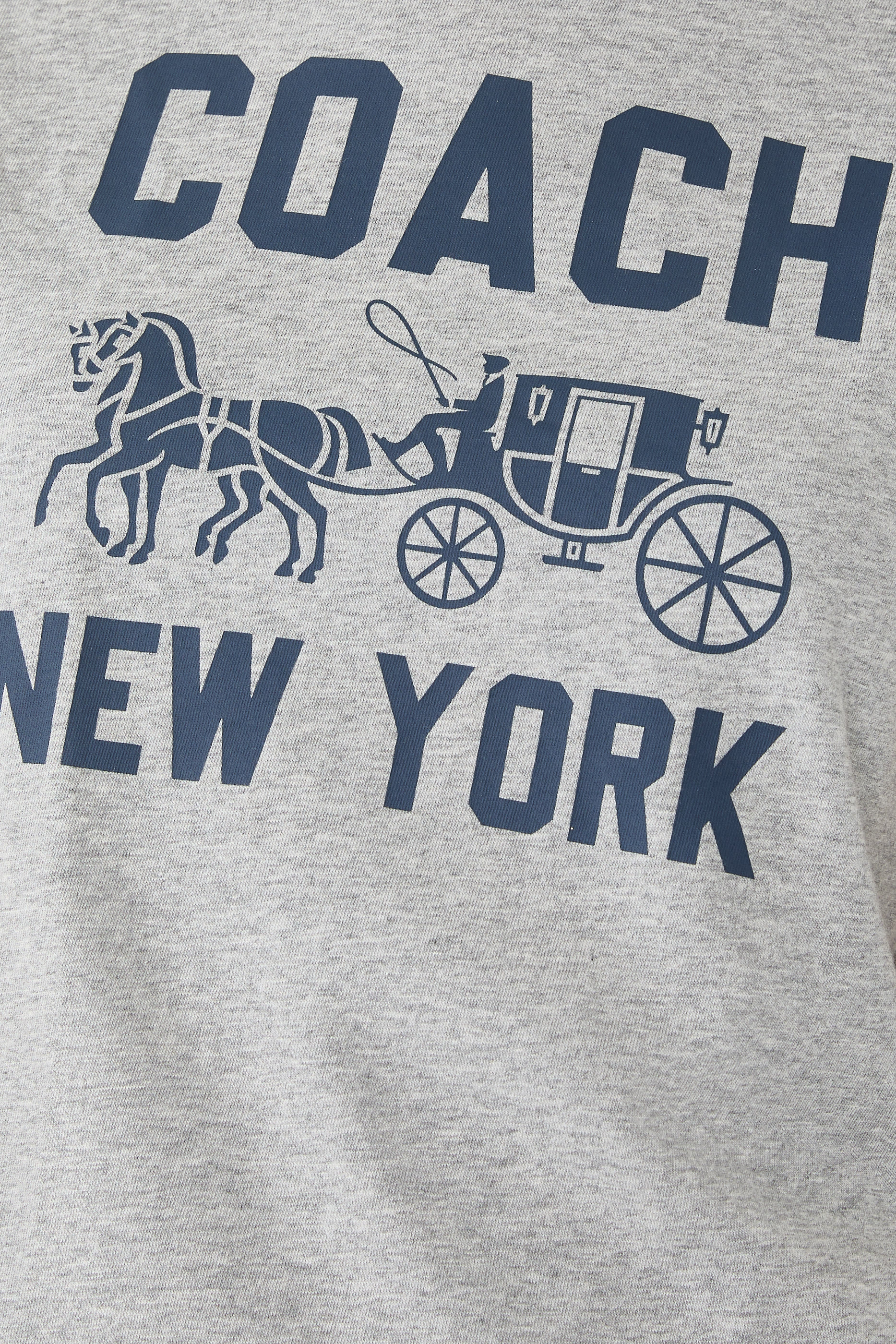 Horse and Carriage T-Shirt