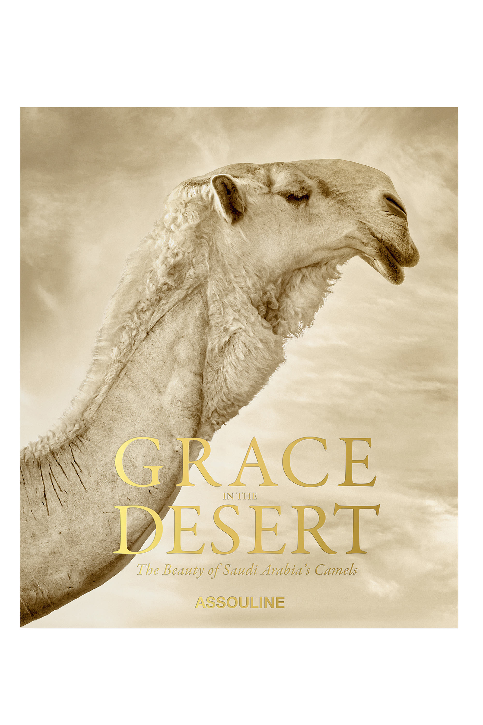 Grace in the Desert: The Beauty of Saudi Arabia&rsquo;s Camels