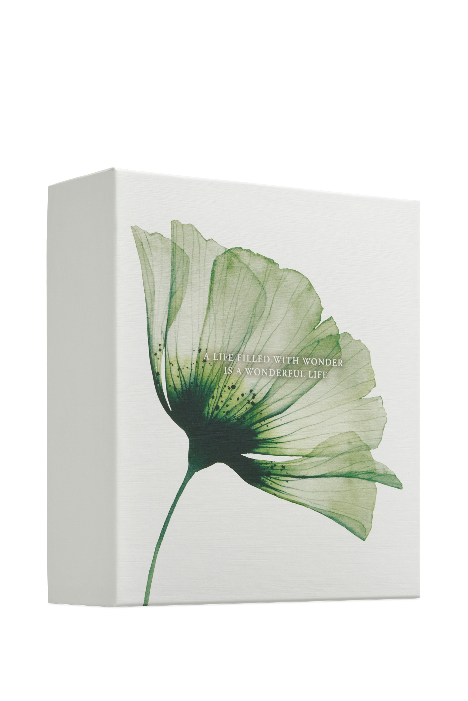 The Ritual of Jing Medium Gift Set