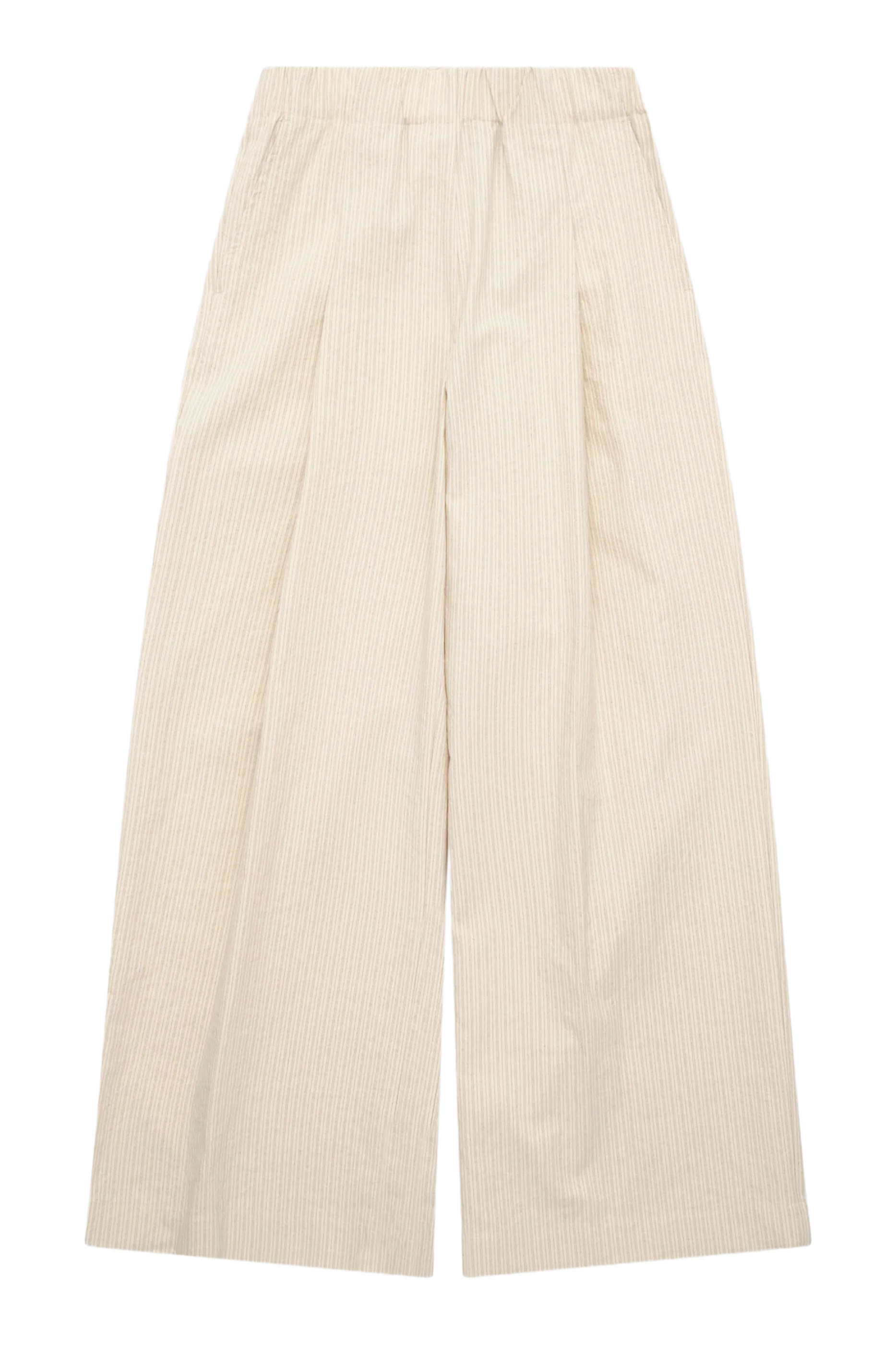 Wide Pleated Pants 