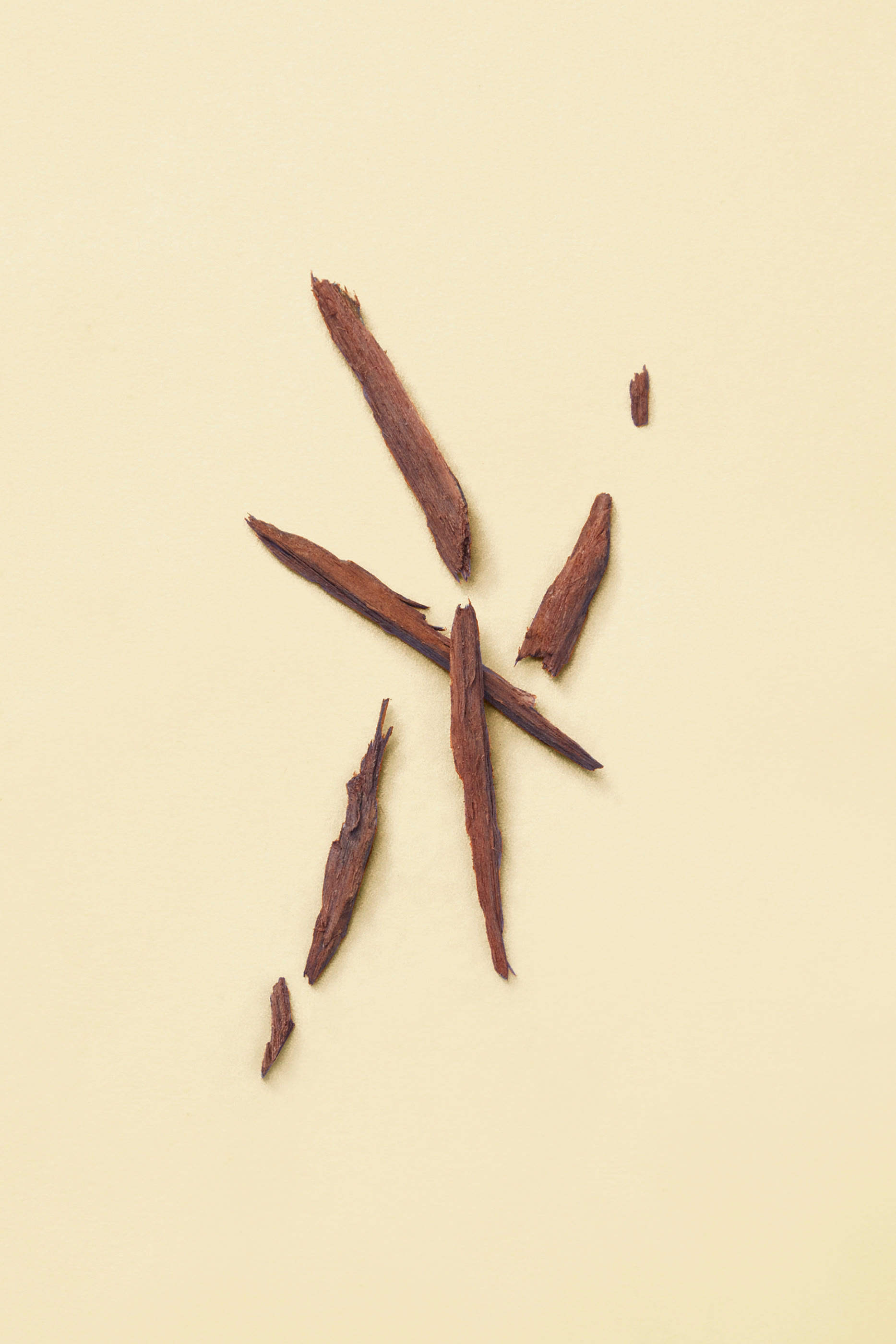 The Last Day of Summer Eau de Parfum