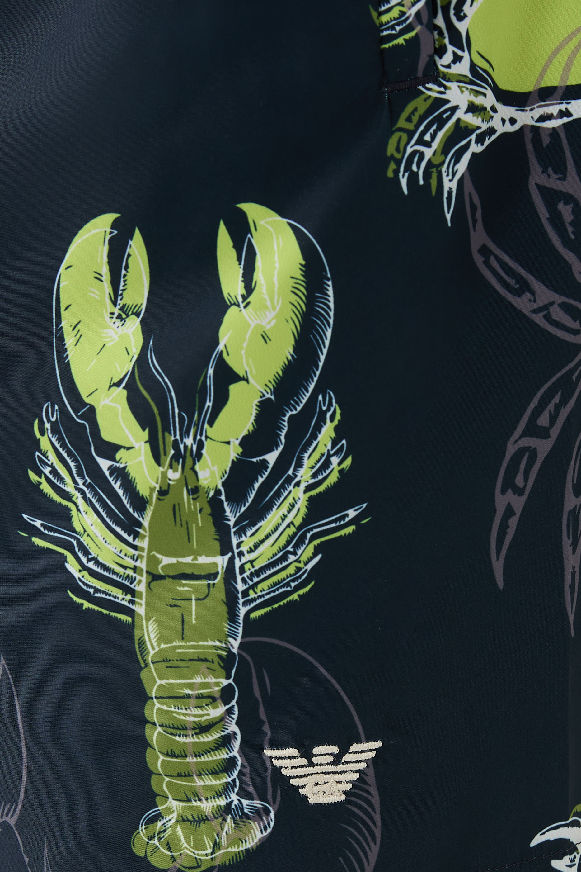 Sea Animals Swim Shorts