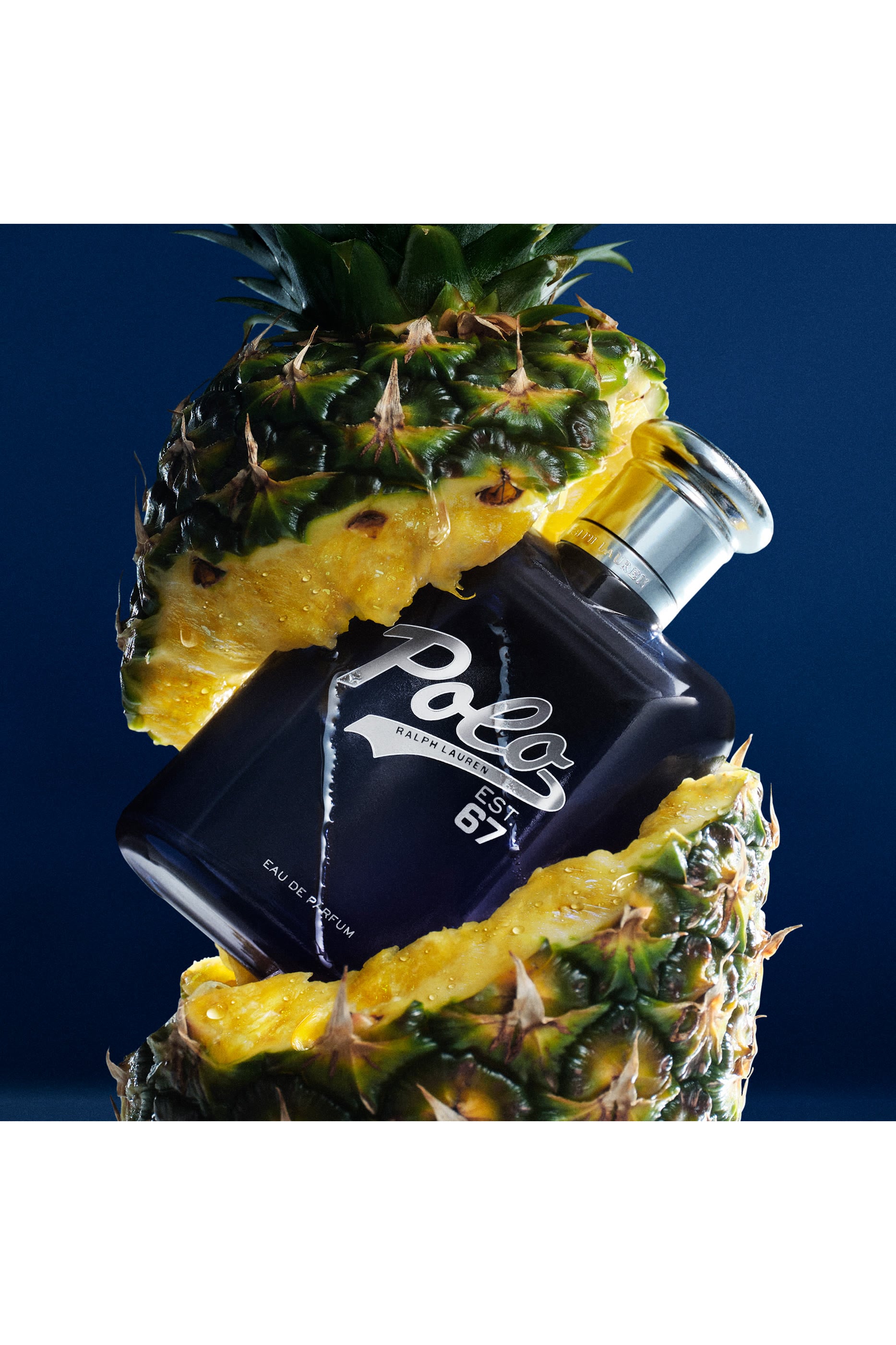 Polo 67 Eau de Parfum