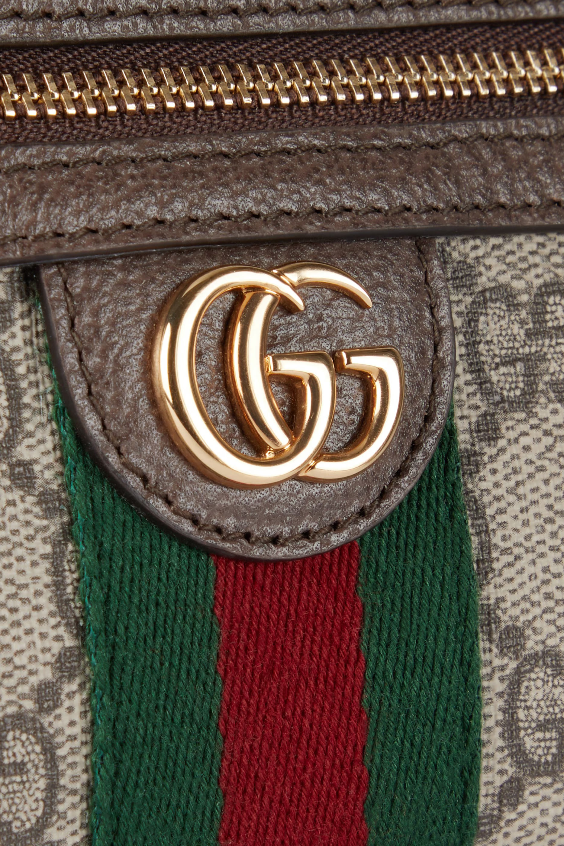 Ophidia Mini Shoulder Bag