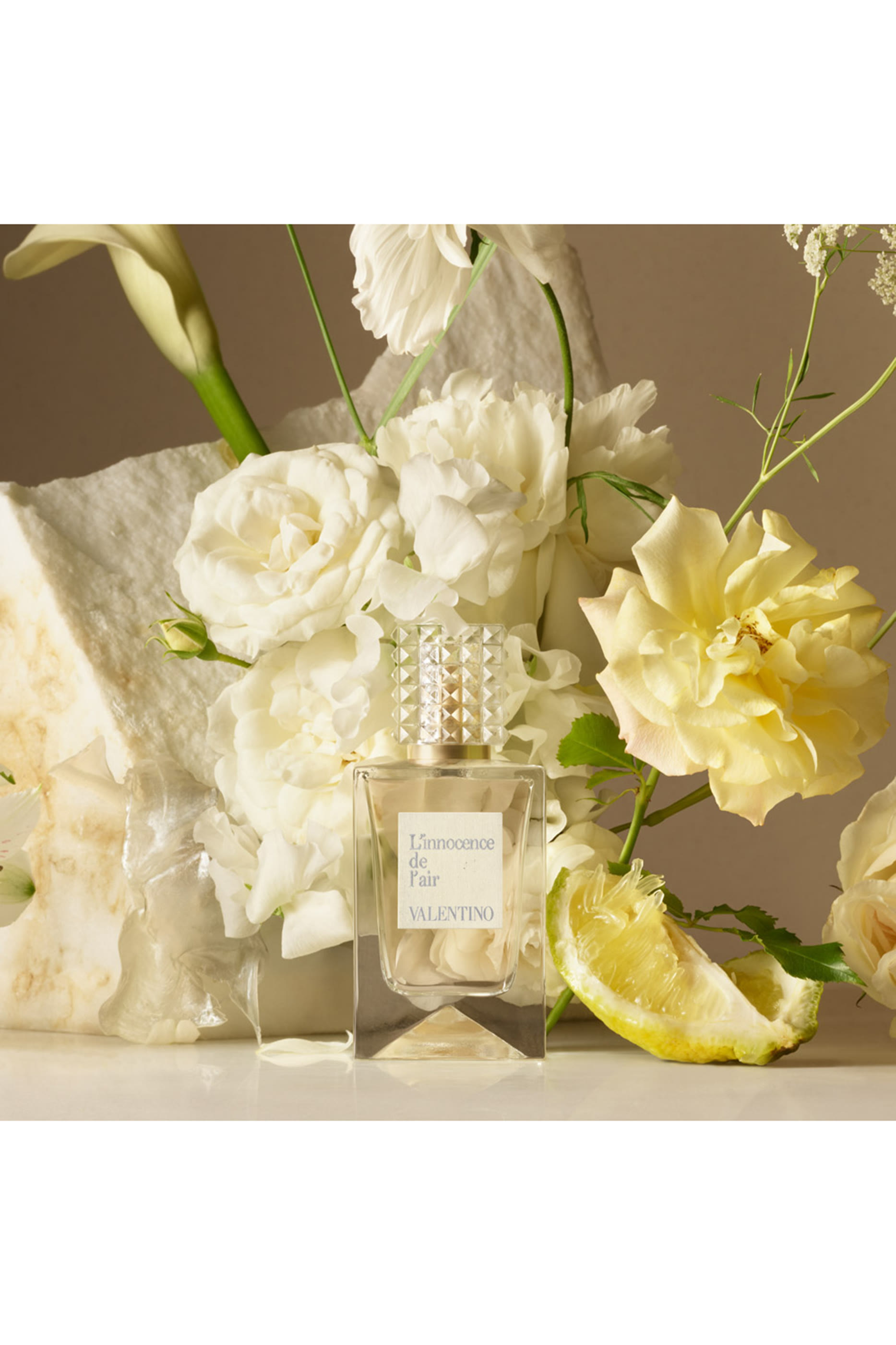 Anatomy Of Dreams - Innocence De L'air  Parfum