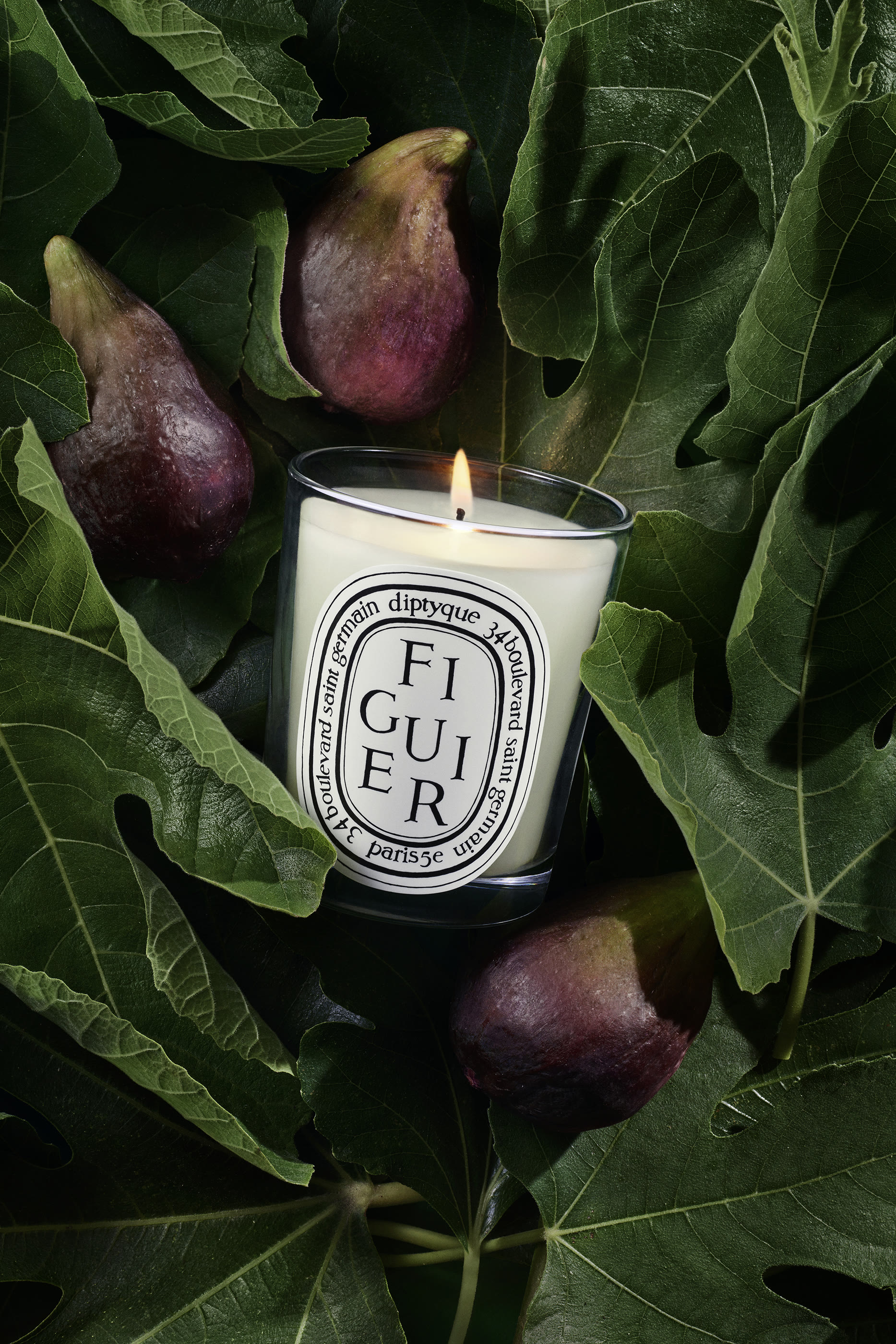Figuier Candle
