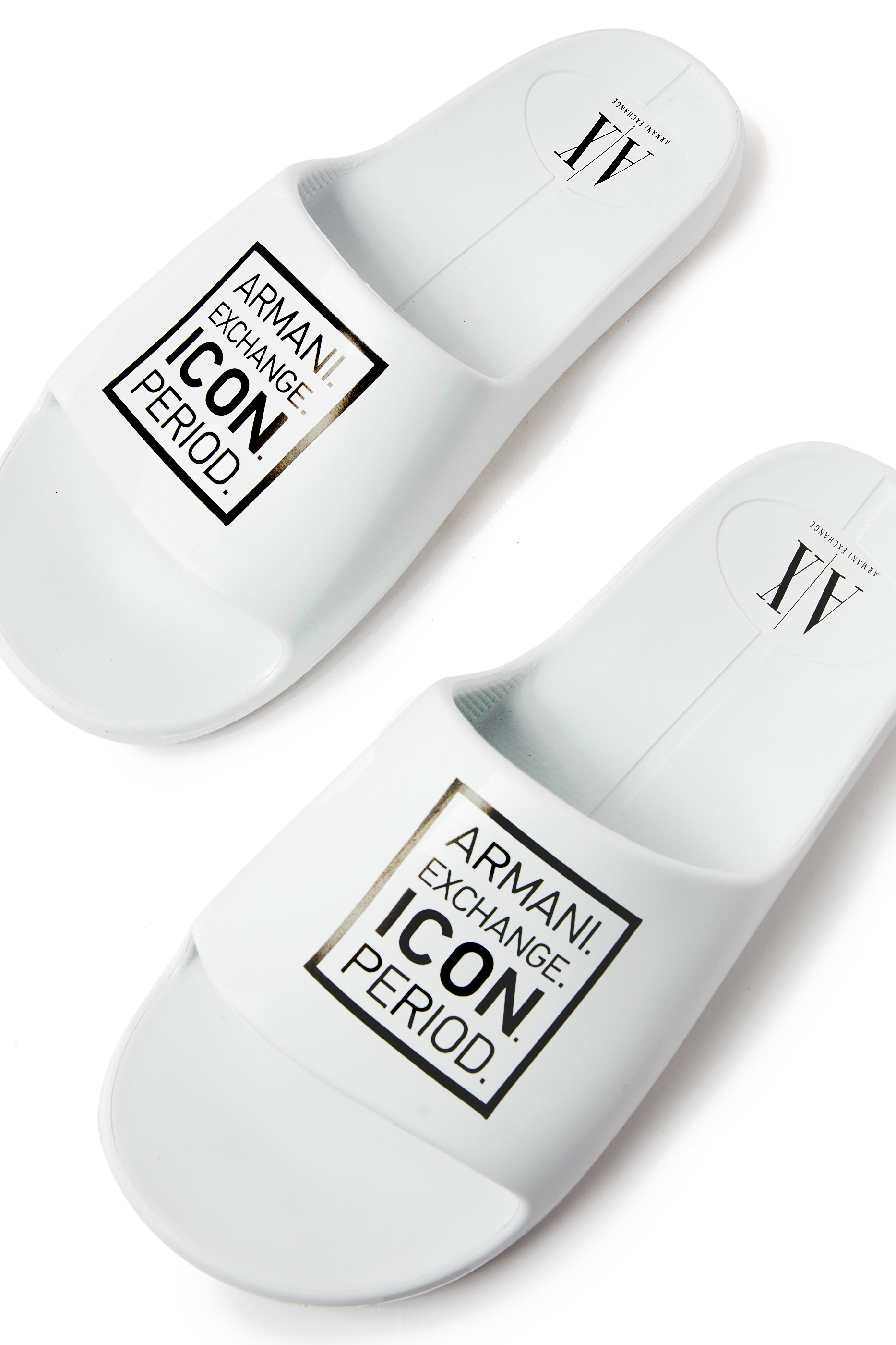 Icon Logo Slides